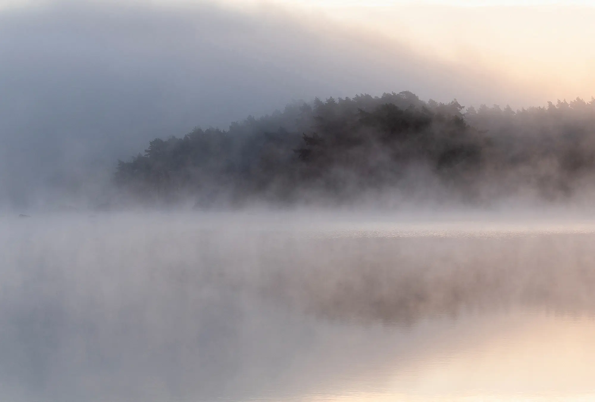 Architects Paper - Walls by Patel 3 | Wallpaper avalon 1 | DD122064