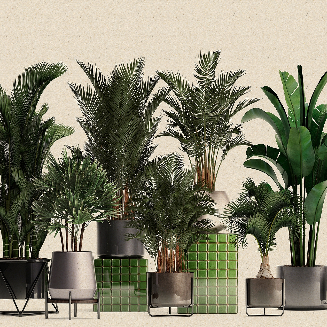 Produkt Walls by Patel 3 | Tapete plant shop 1 | DD122084 des Herstellers Architects Paper anzeigen