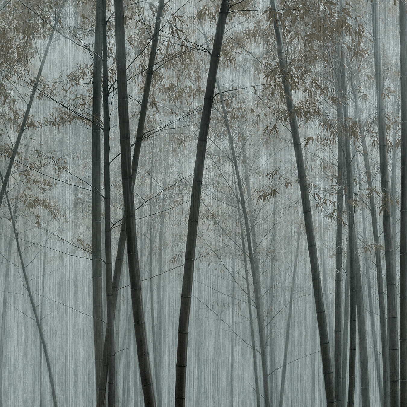 Mostra il prodotto Walls by Patel 3 | Carta da Parati in the bamboo 1 | DD122100 del produttore Architects Paper
