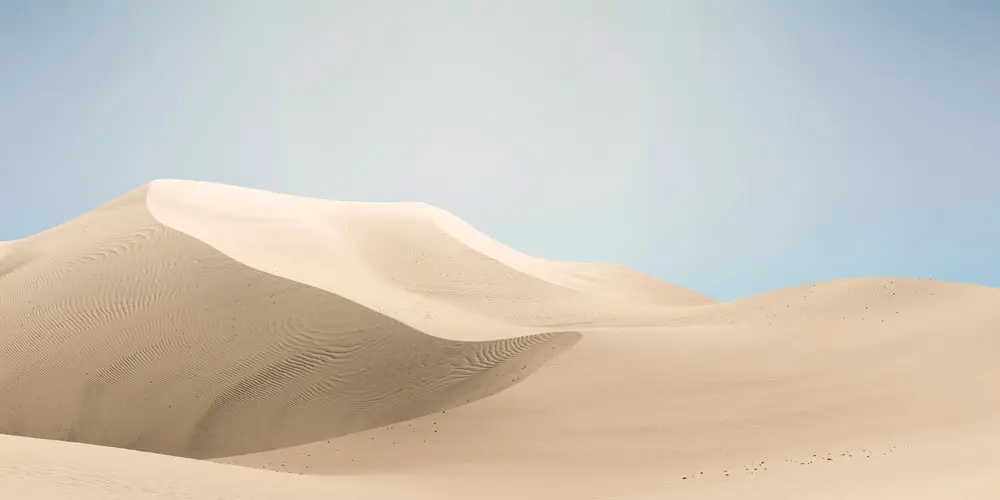 Architects Paper - Walls By Patel 4 | Wallpaper Generative Phantasies | Dunes