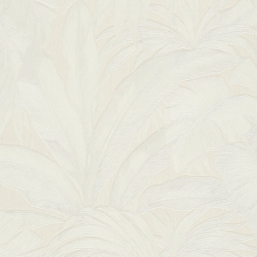 Versace V | Wallpaper 962402