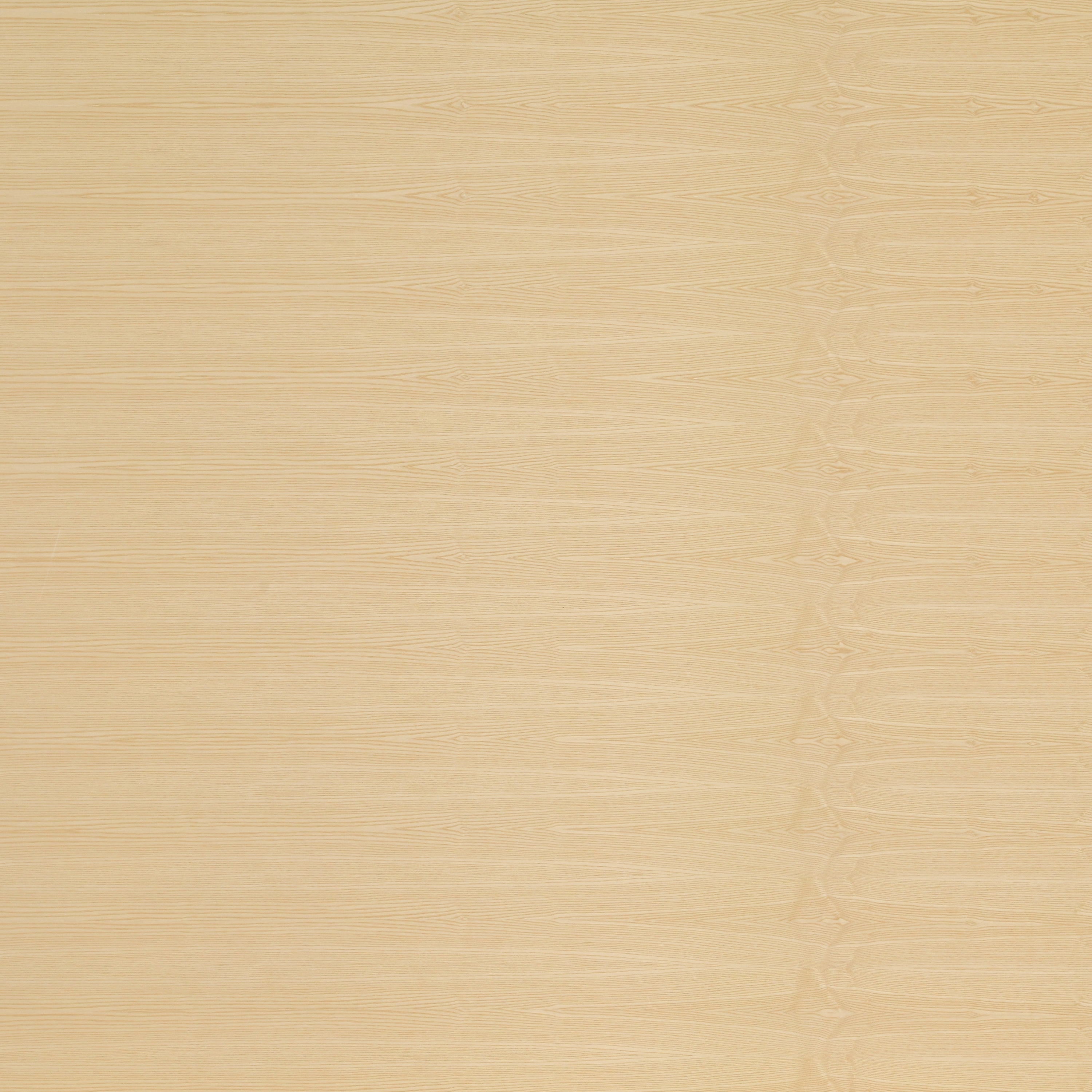Display product Fireplac®A2 | Ash from manufacturer europlac