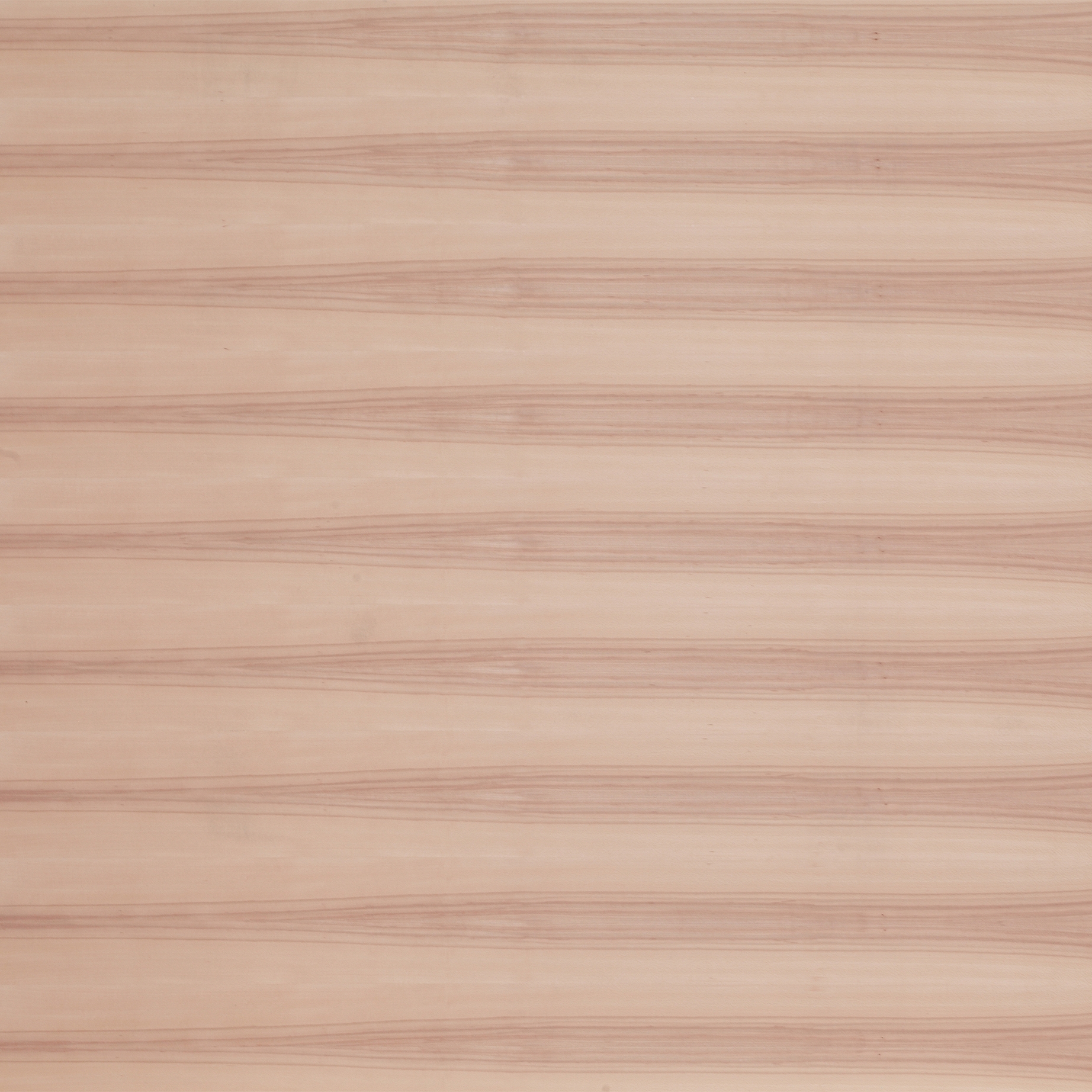 Display product Birkoplex® | Core Beech from manufacturer europlac