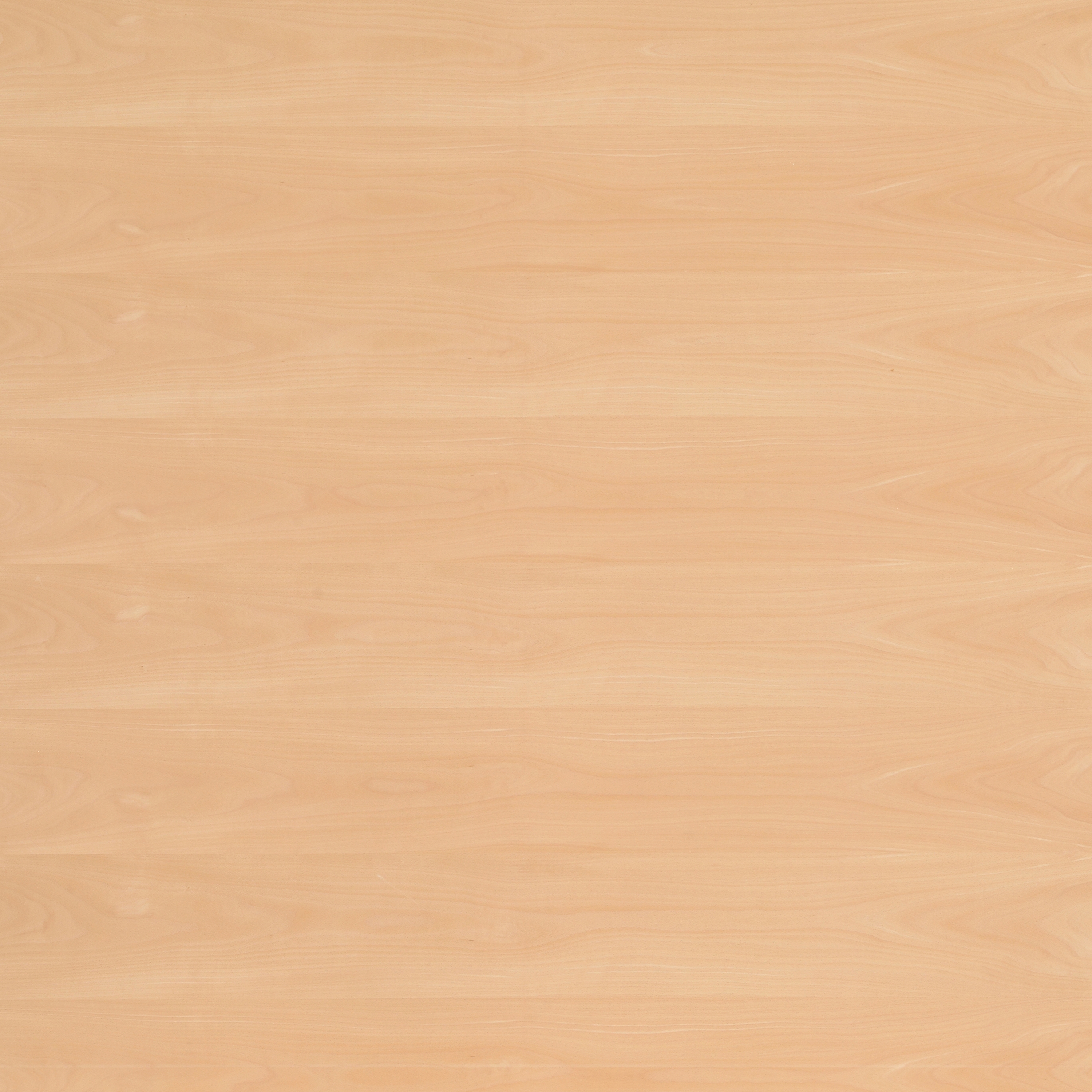 Display product Edelholzcompact | Beech steamed from manufacturer europlac