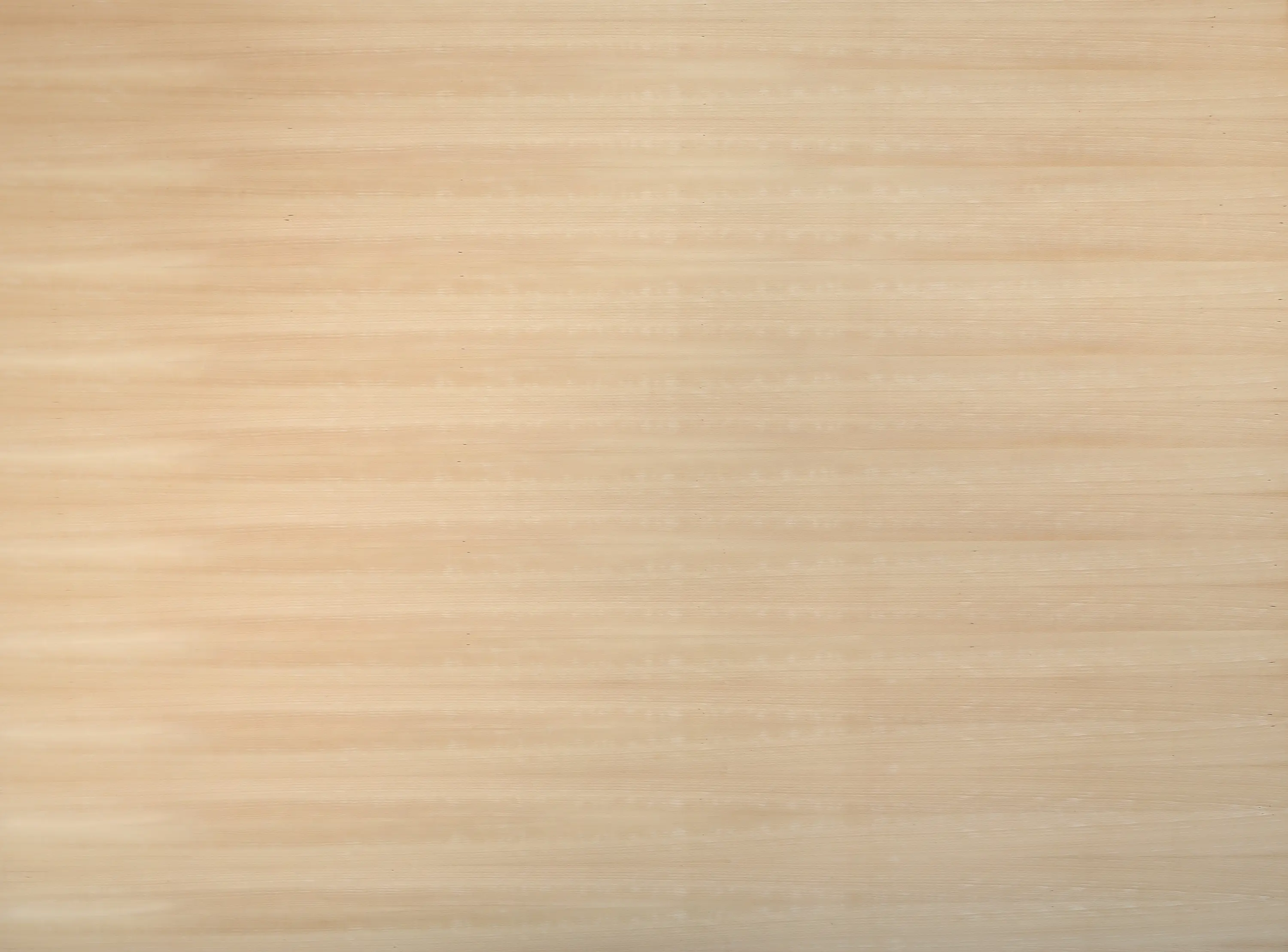 europlac - Edelholzcompact | Beech unsteamed