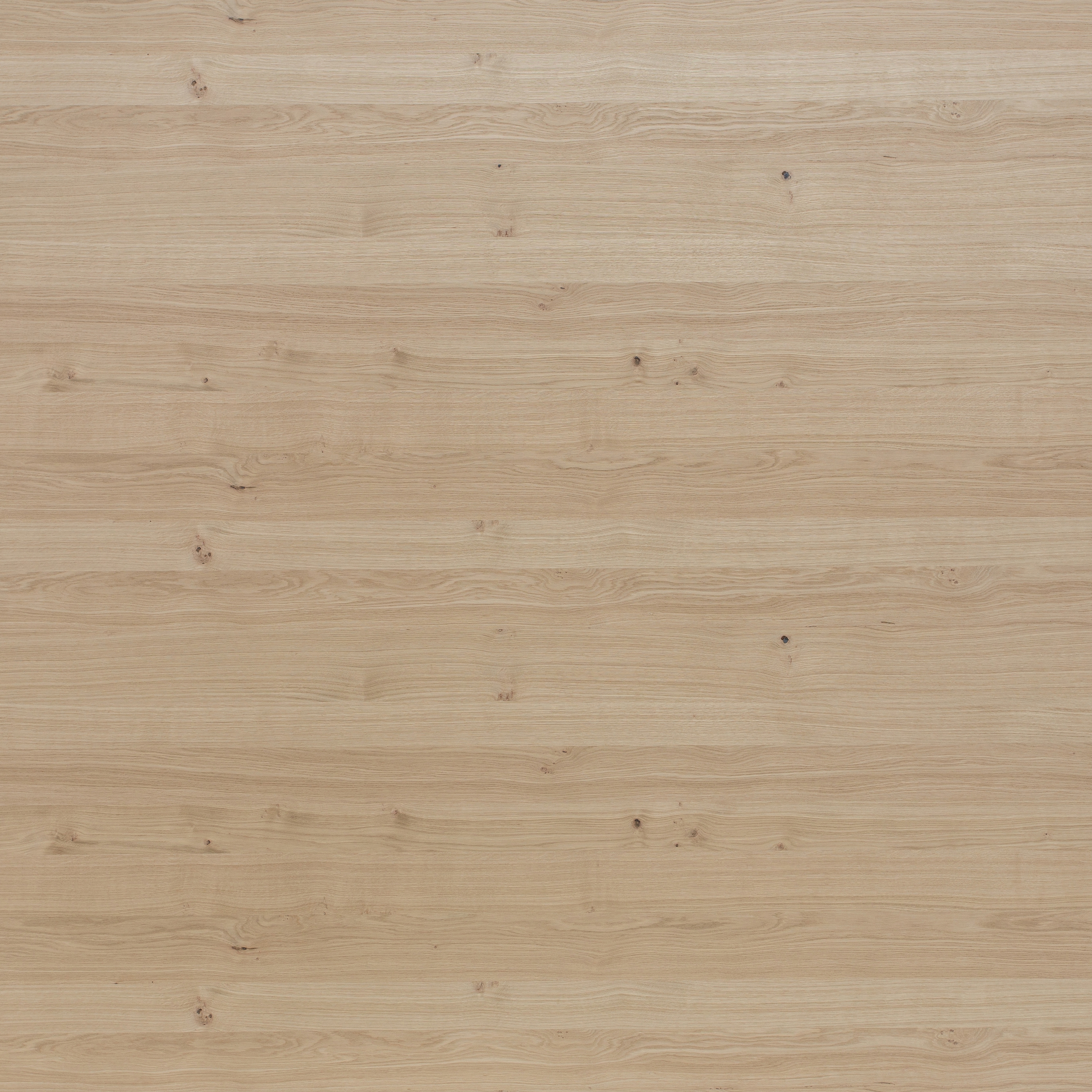 Display product Edelholzcompact | Oak european from manufacturer europlac