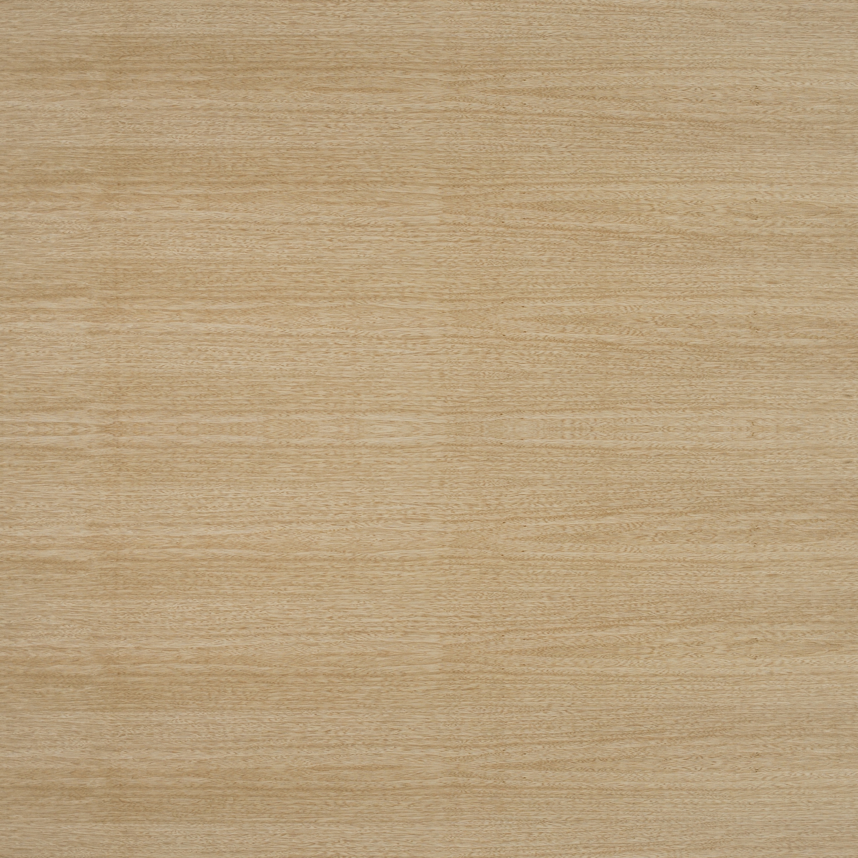 Display product Edelholzcompact | Limba from manufacturer europlac