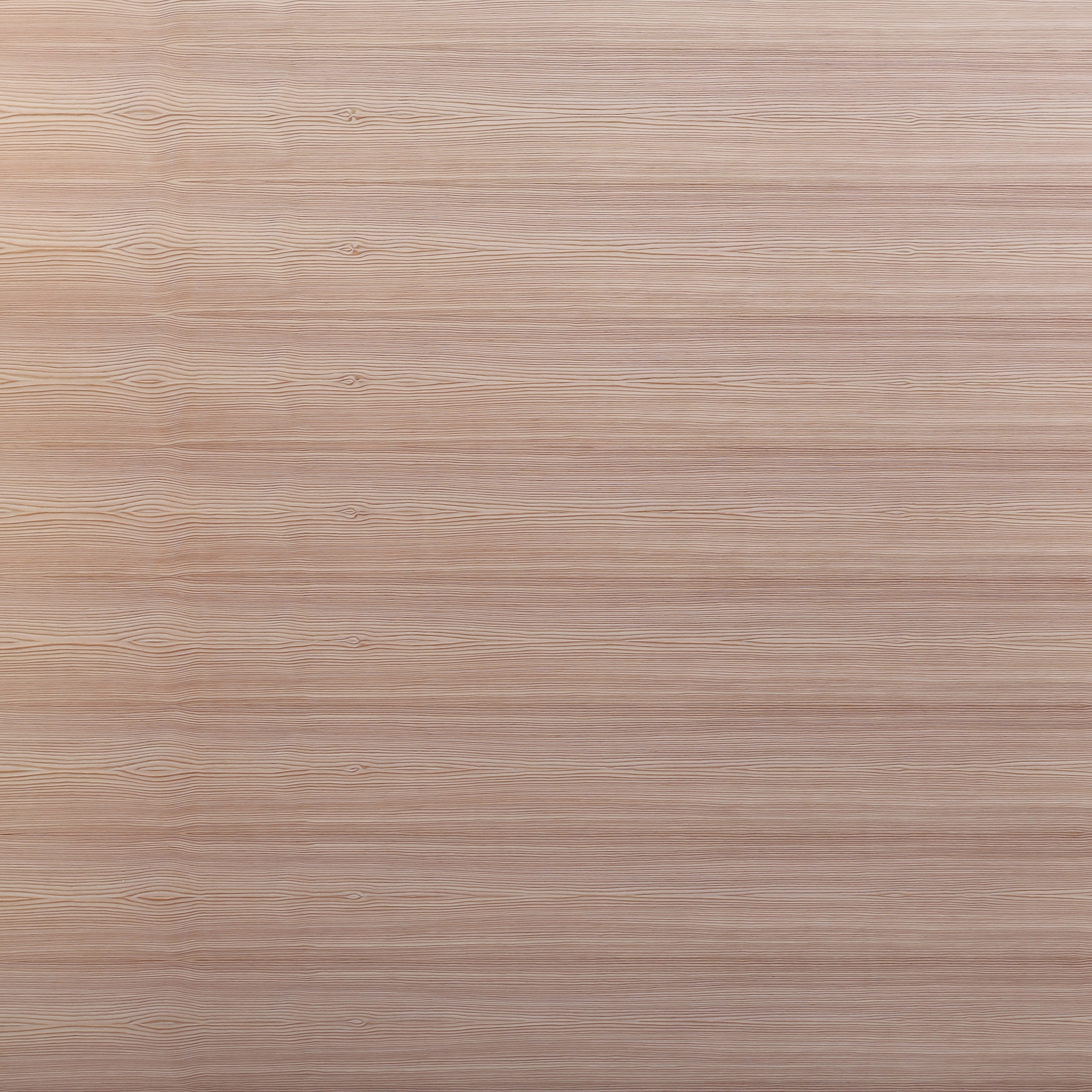 Display product Edelholzcompact | Larch from manufacturer europlac