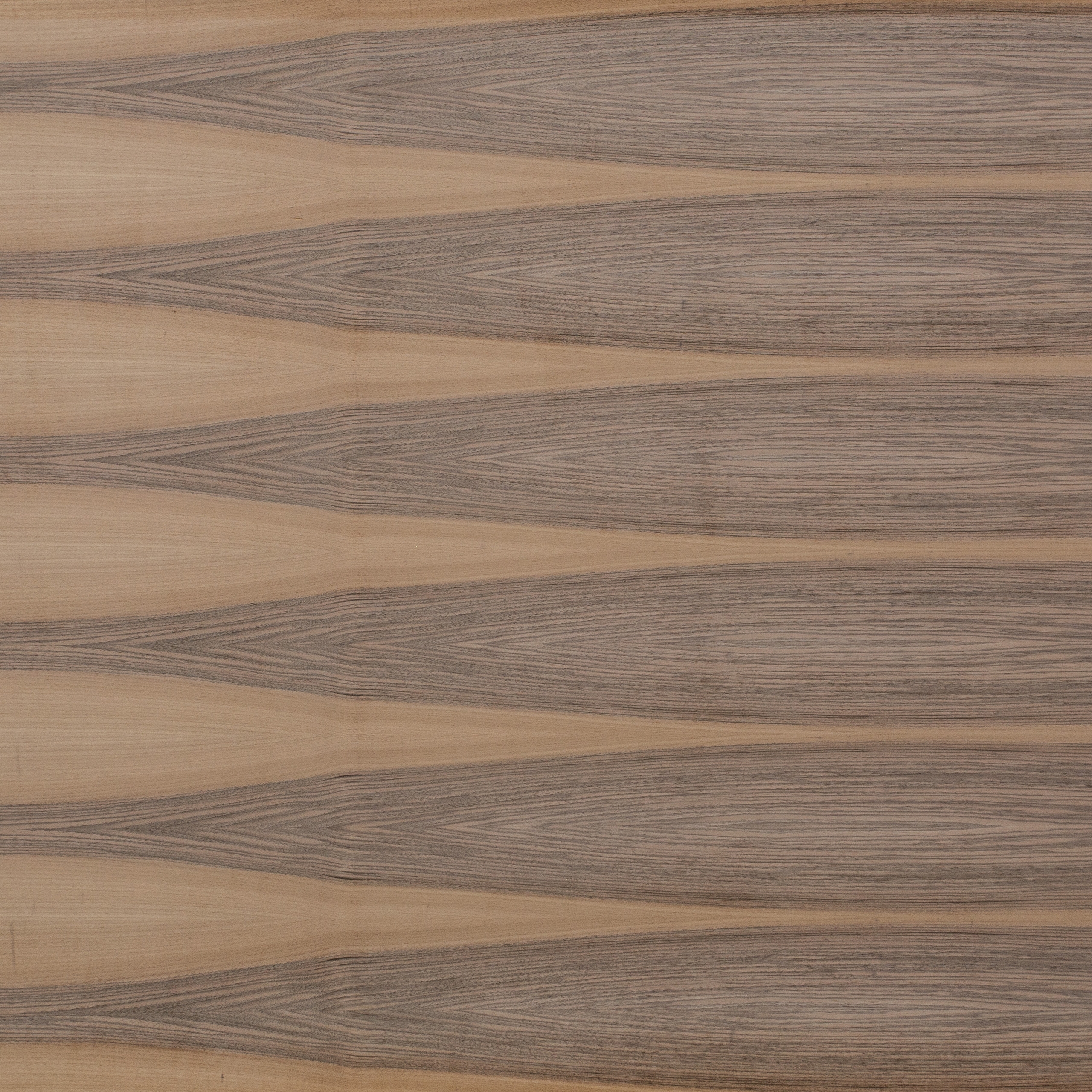 Display product Edelholzcompact | Walnut european from manufacturer europlac