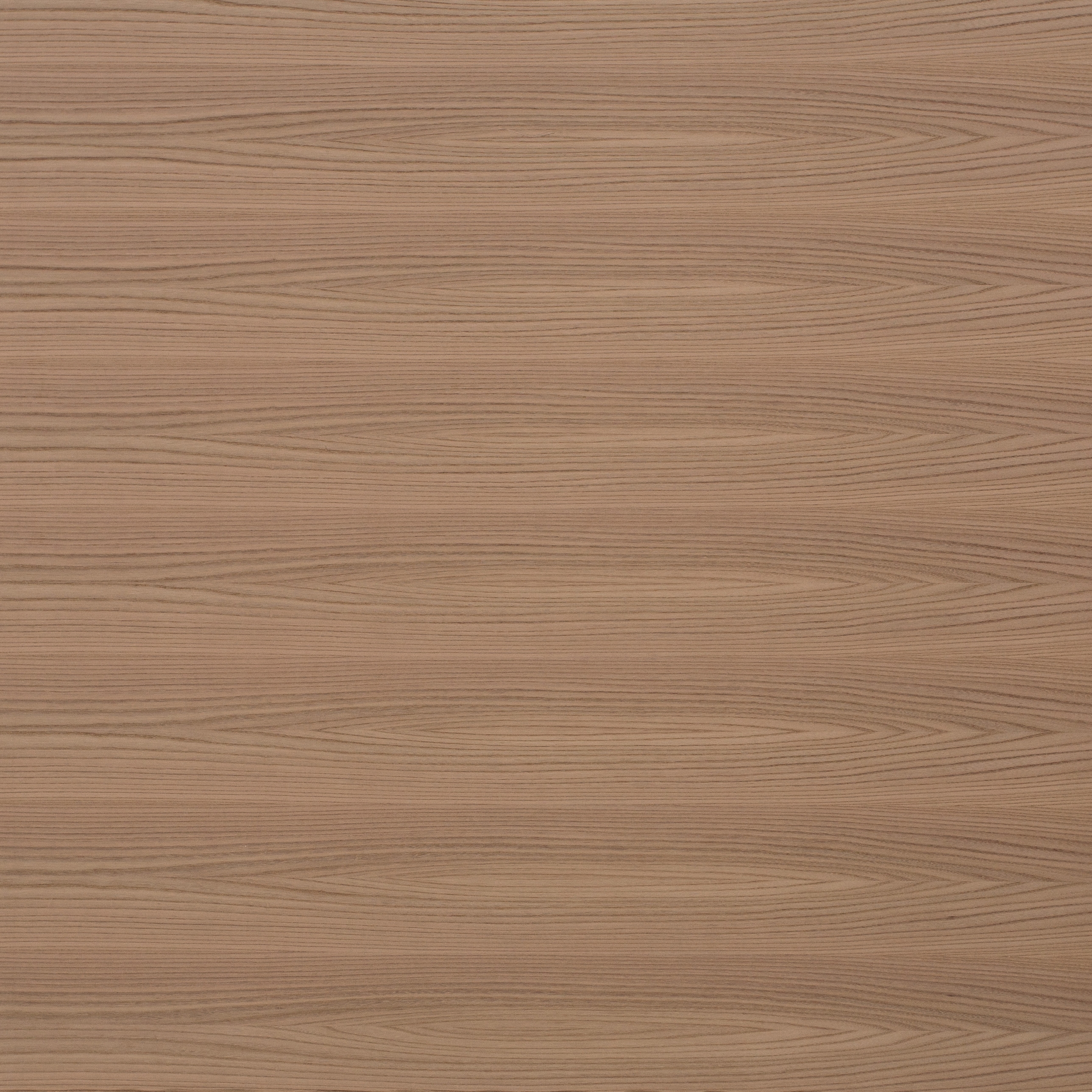 Display product Edelholzcompact | Elm from manufacturer europlac