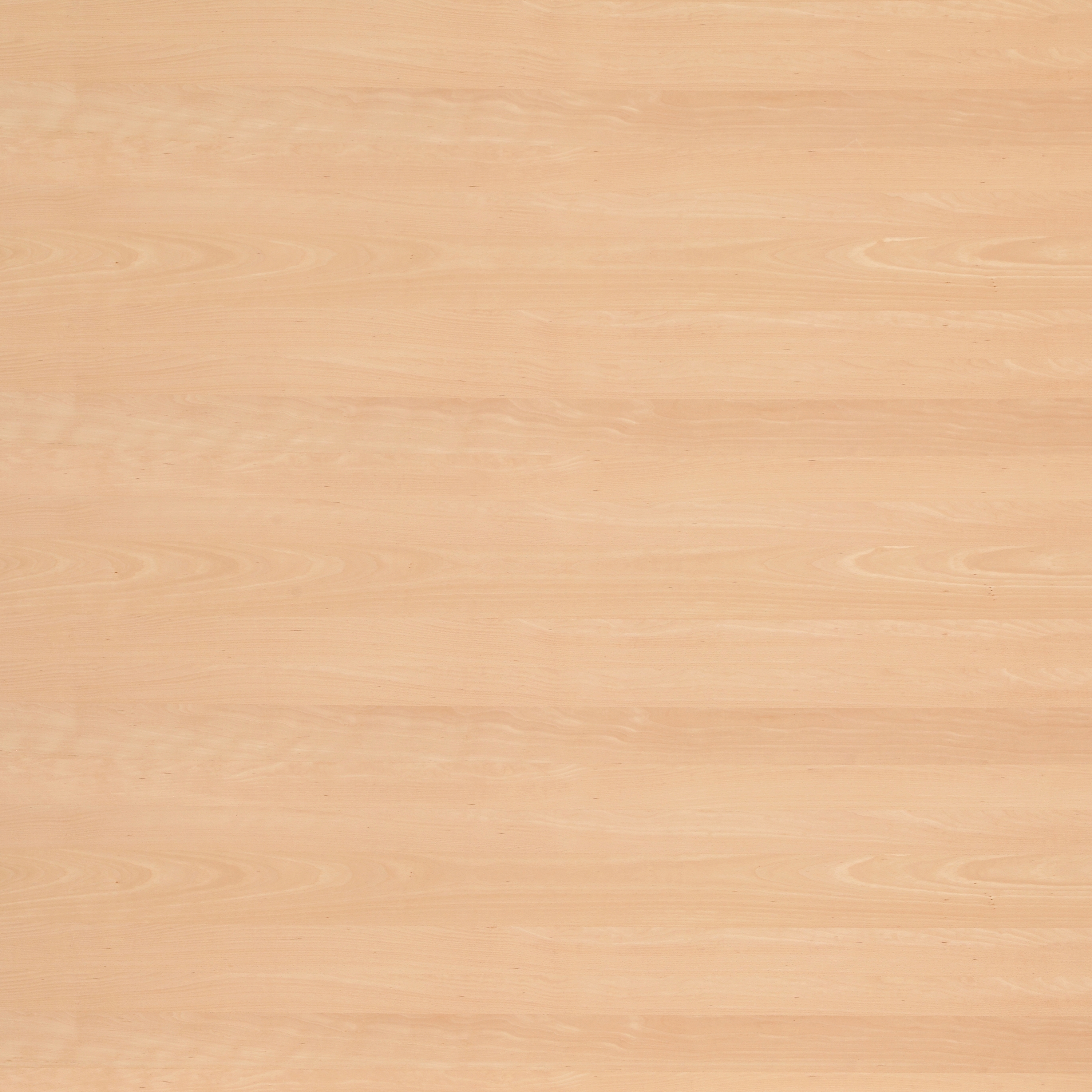 Display product Rustica®Basis | Beech steamed from manufacturer europlac