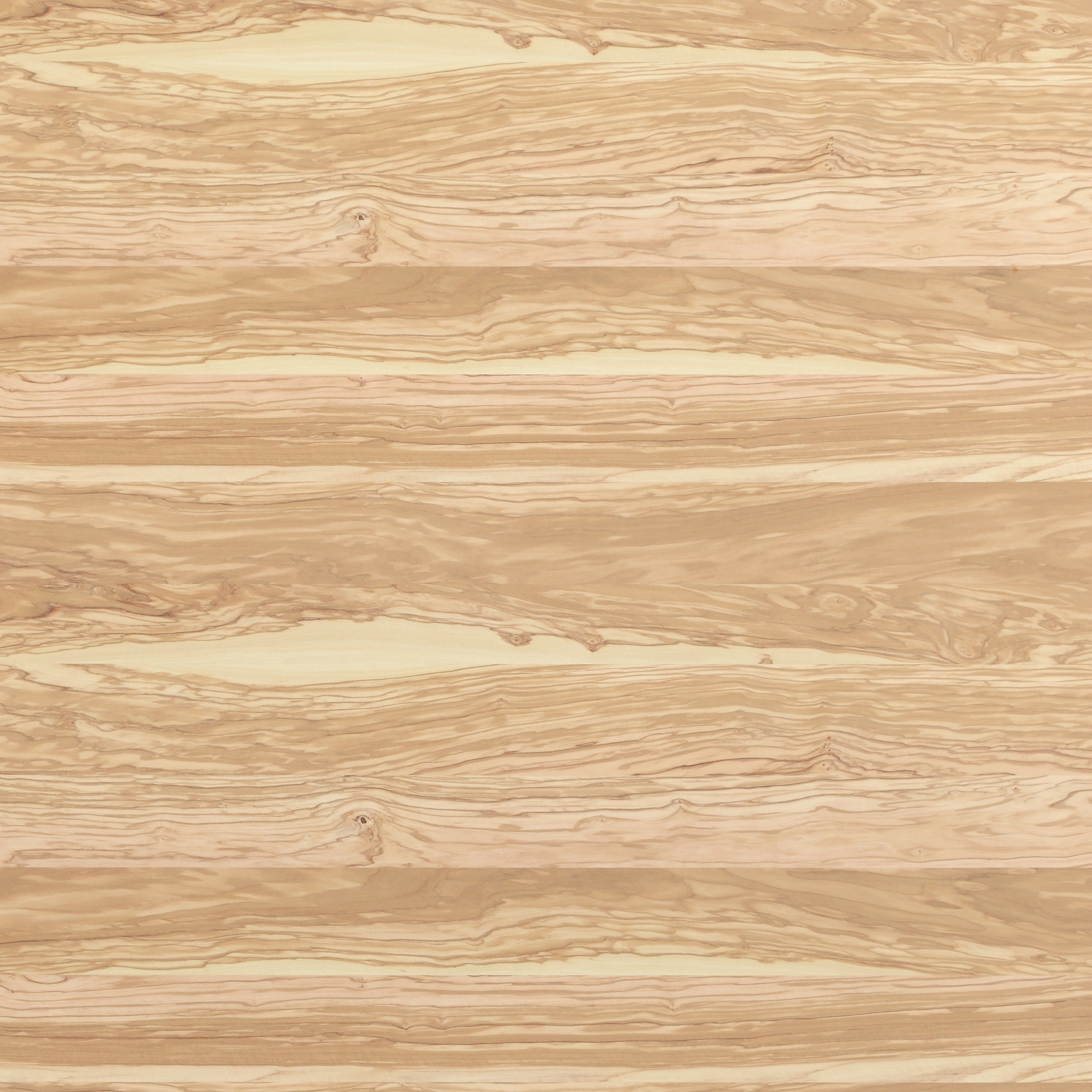 Display product Rustica®Basis | Olive Tree from manufacturer europlac