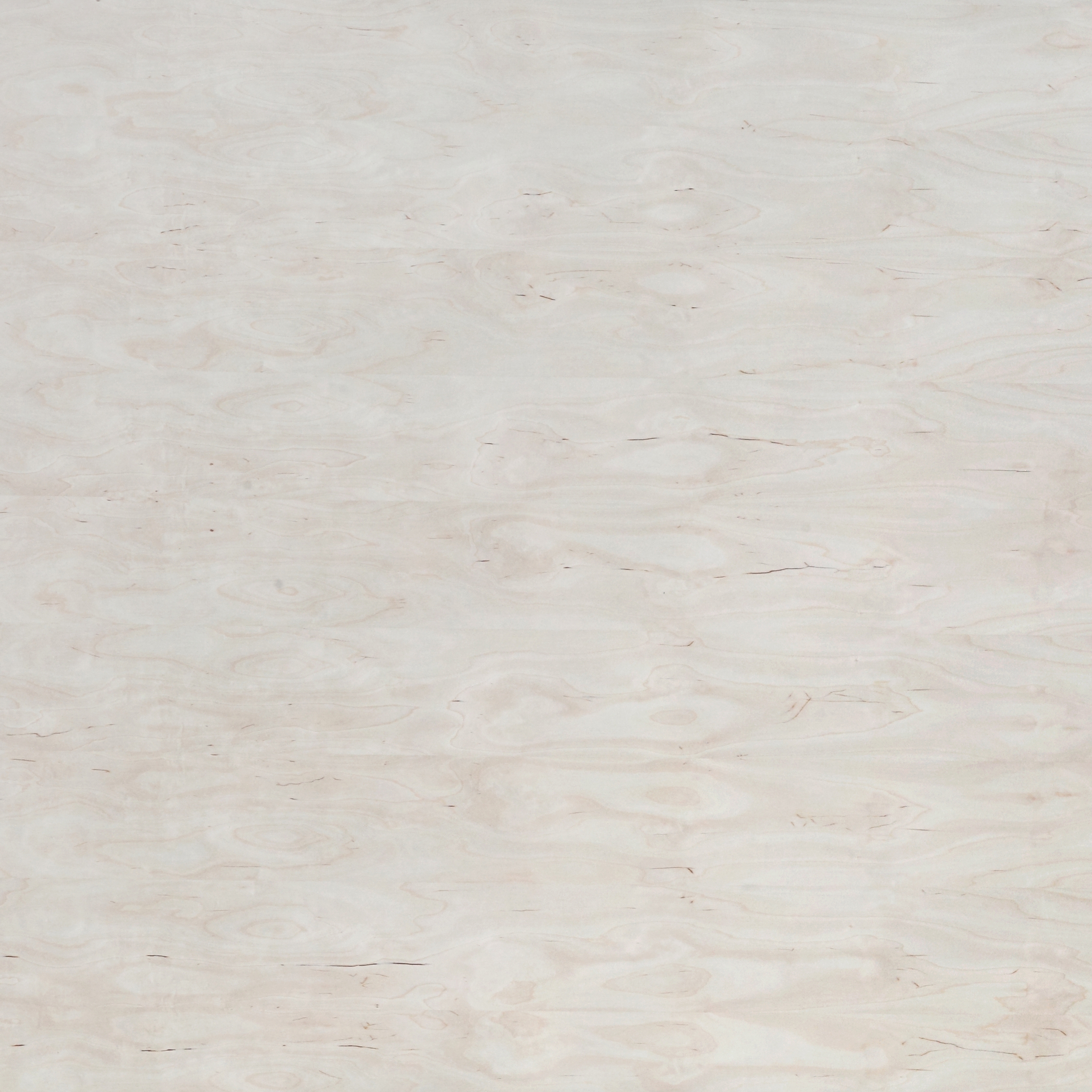 Display product B-Plex®Light | Birch excentrically cut from manufacturer europlac