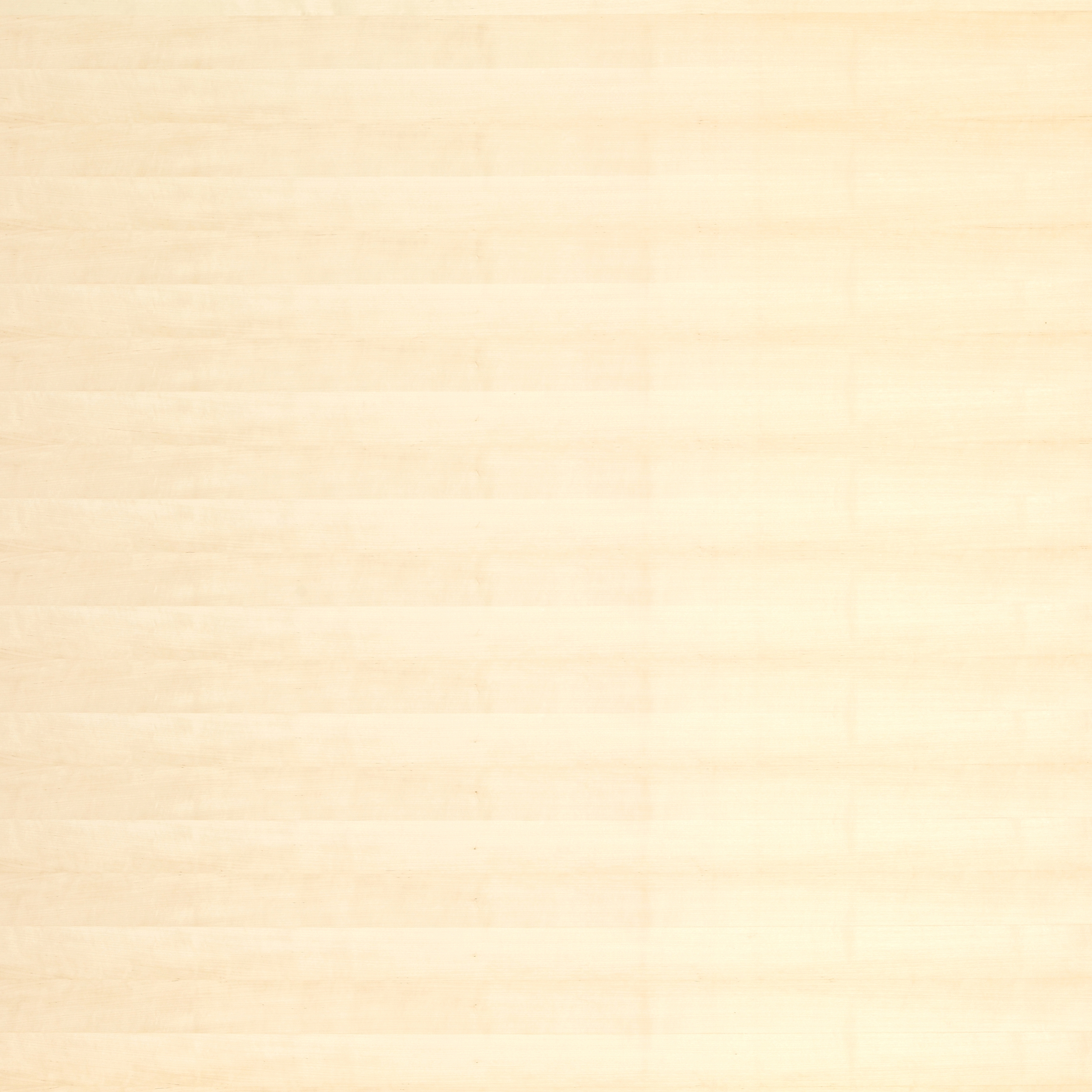 Display product B-Plex®Light | Birch sliced from manufacturer europlac