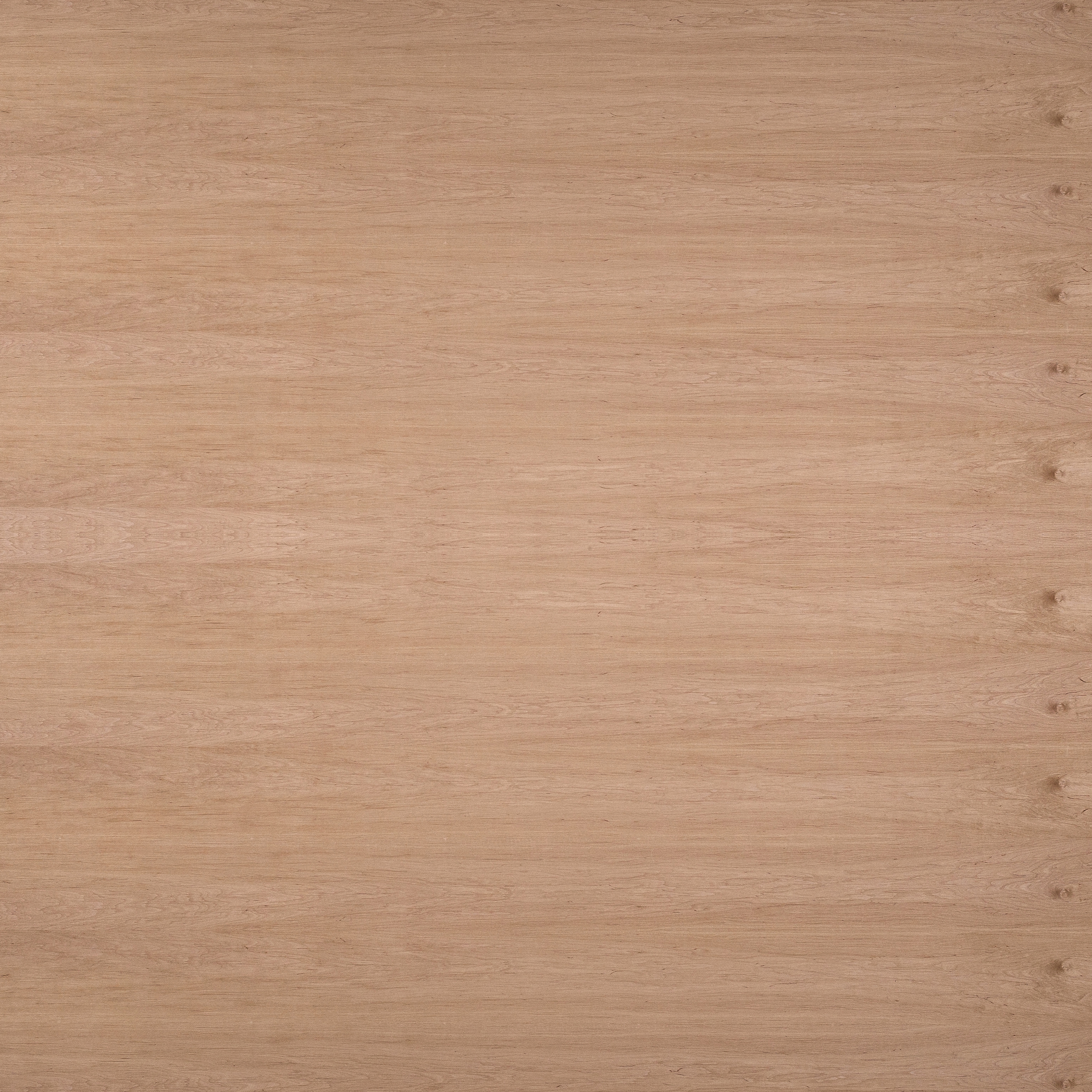 Display product B-Plex®Light | Alder european from manufacturer europlac