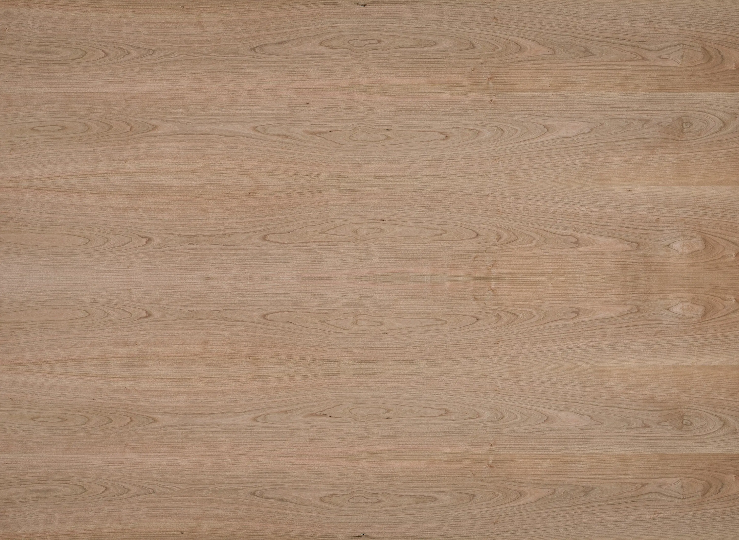 europlac - B-Plex®Light | Cherry american
