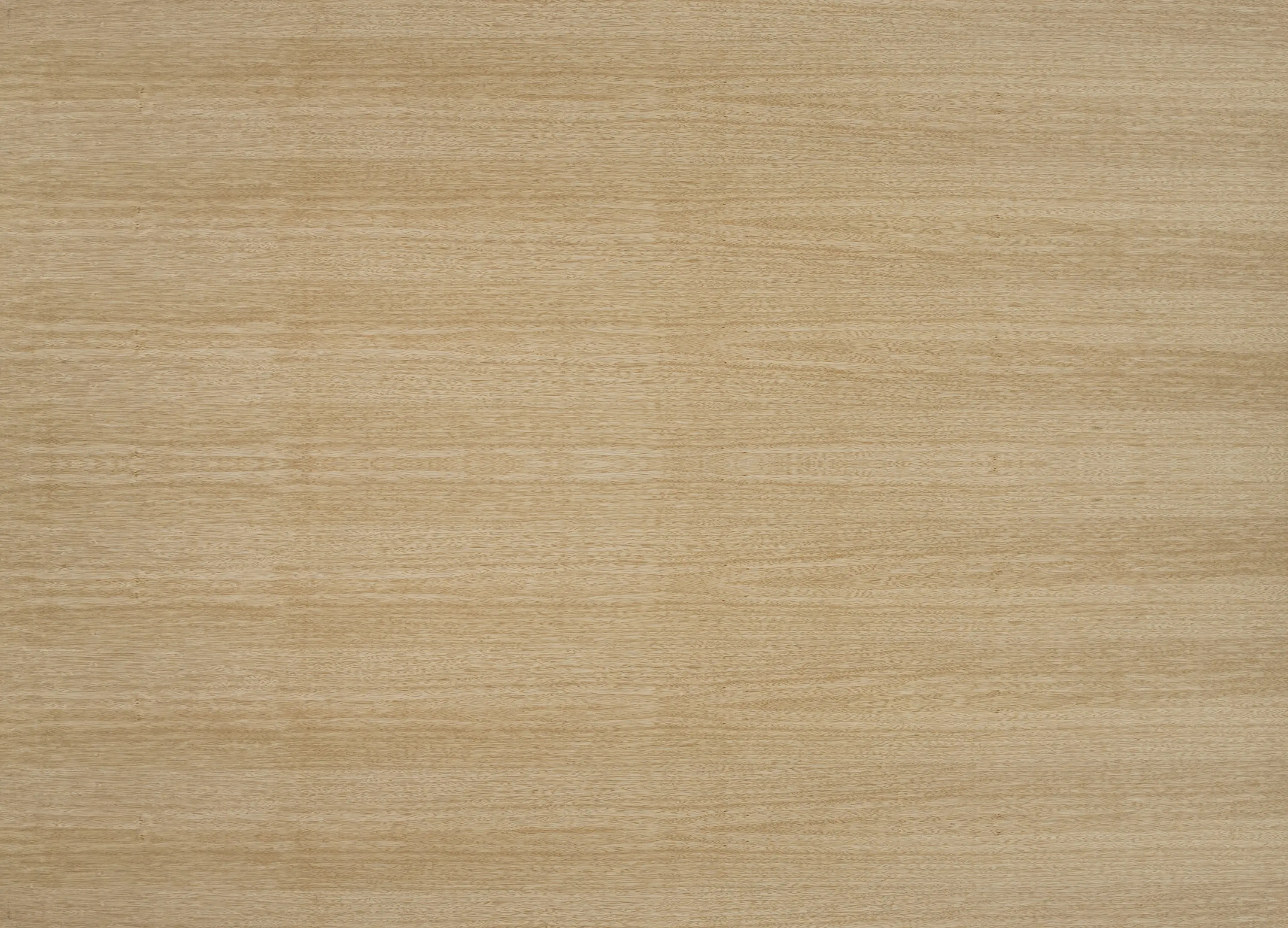 europlac - B-Plex®Light | Limba
