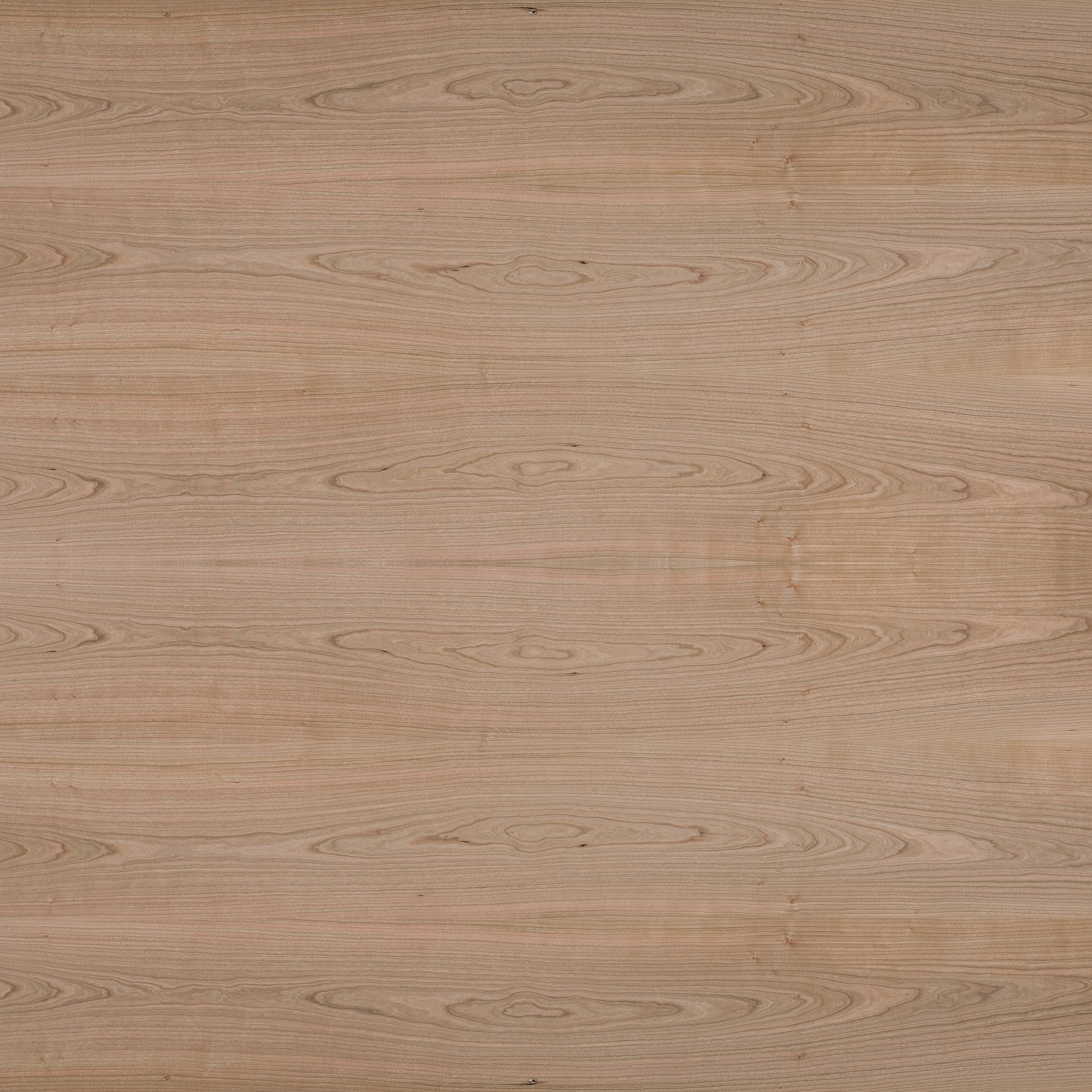 Vertoon produk Spa-Plex® | Cherry american van vervaardiger europlac