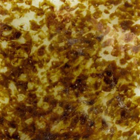 AMBER_1_W glass wall tile