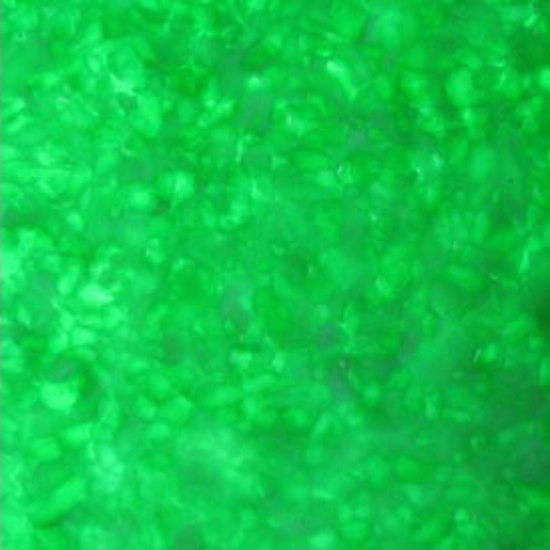 LEAF_1_W glass wall tile