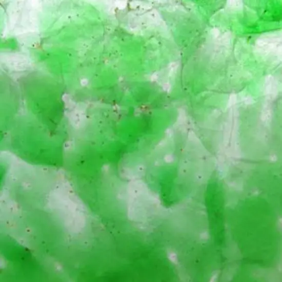 gallery-slide-0