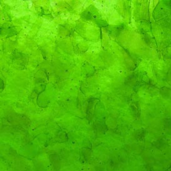 Display product LEAF_4_W glass wall tile from manufacturer Diamik Glass