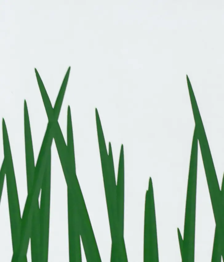 Virtuell - VID301/Green