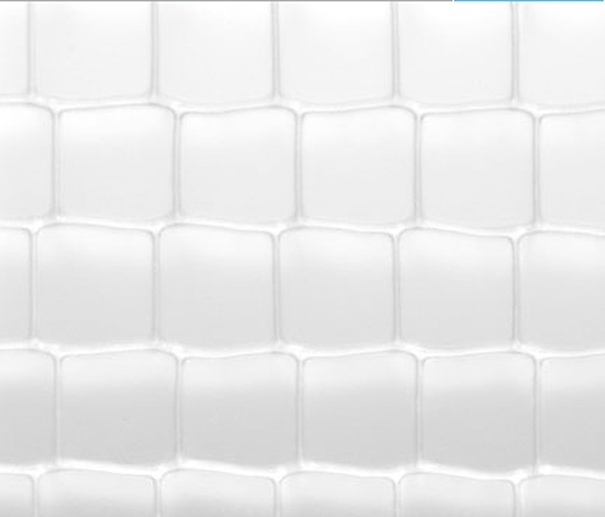 Display product ViewPan PMMA transparent from manufacturer Wacotech