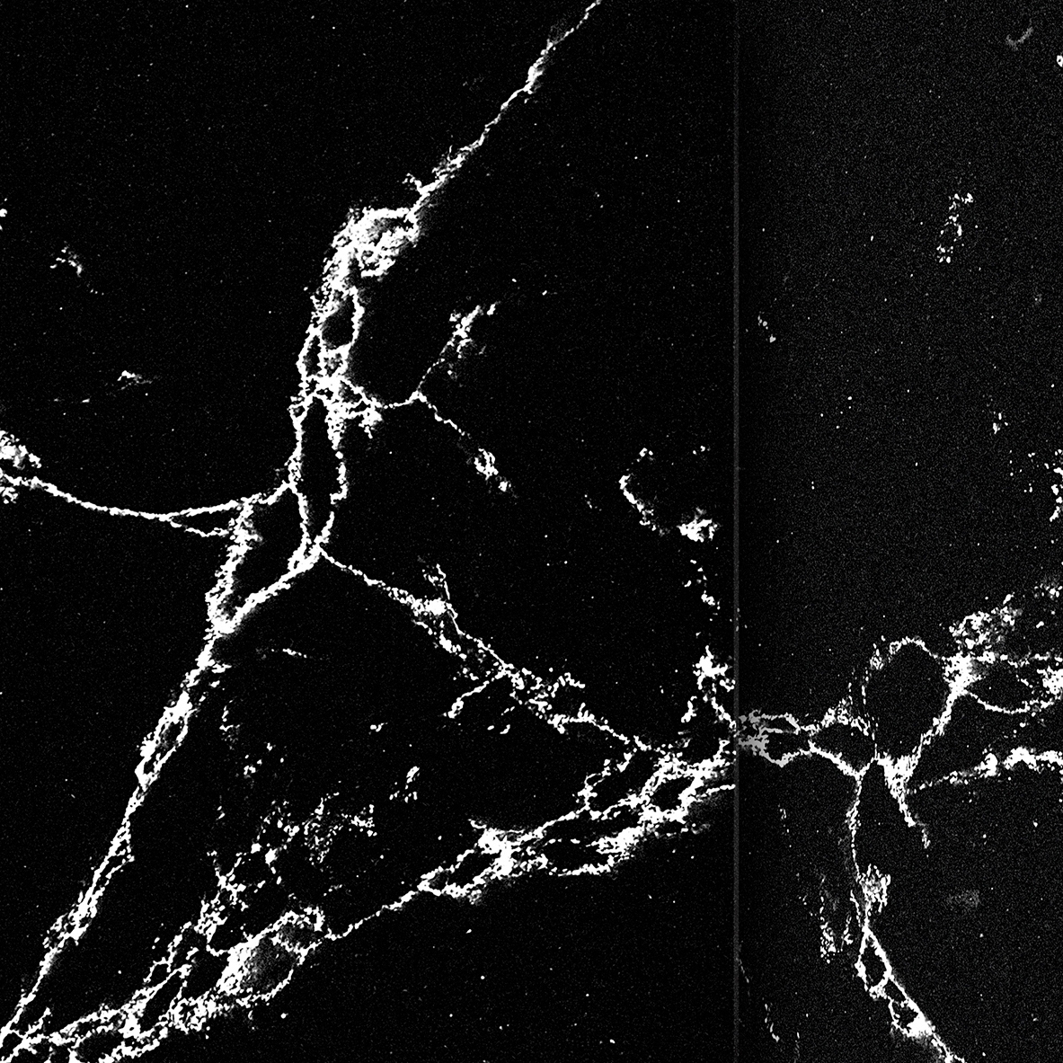 Produkt Unique Marquina™ des Herstellers Compac anzeigen