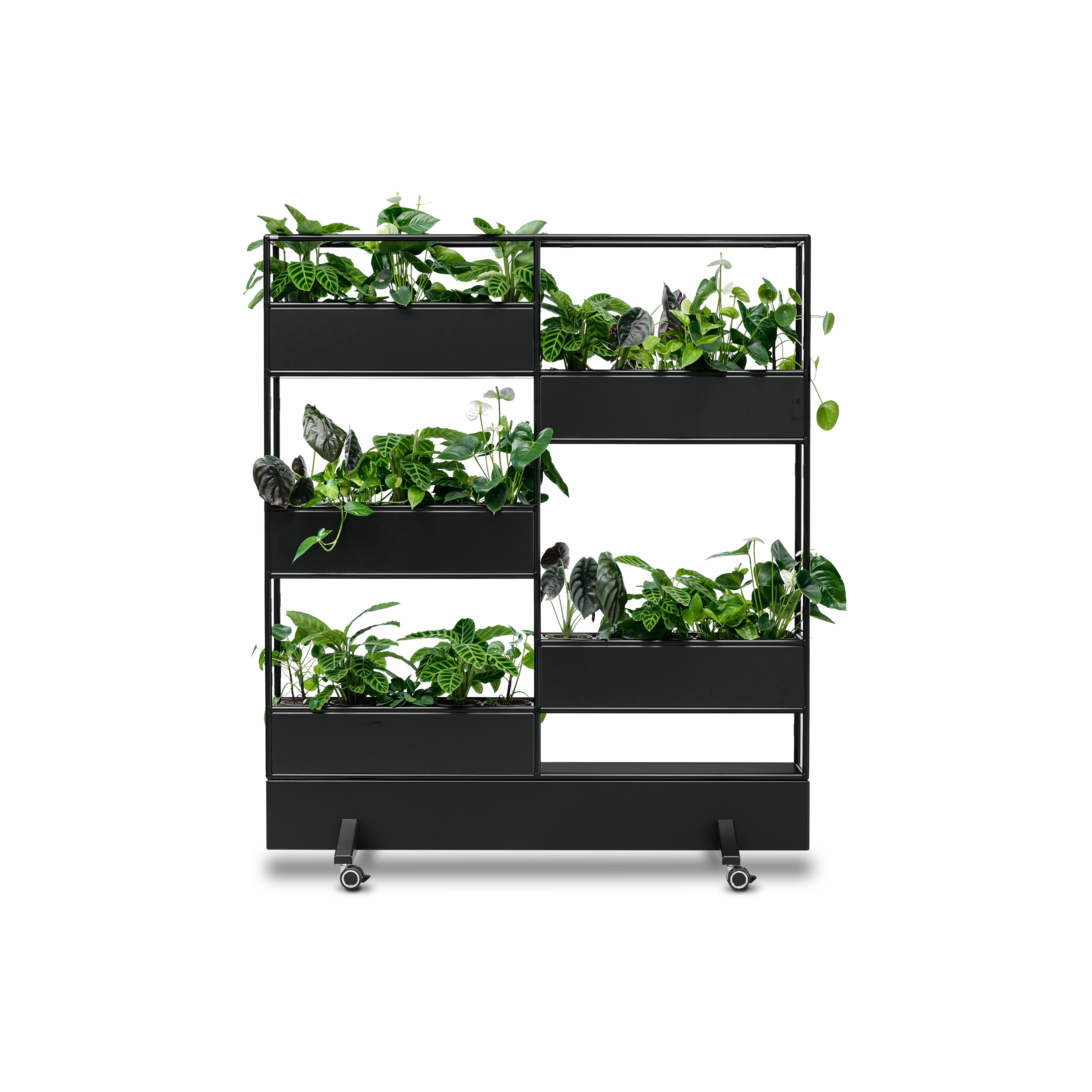 Display product Modul space mobile Plant from manufacturer Bosse