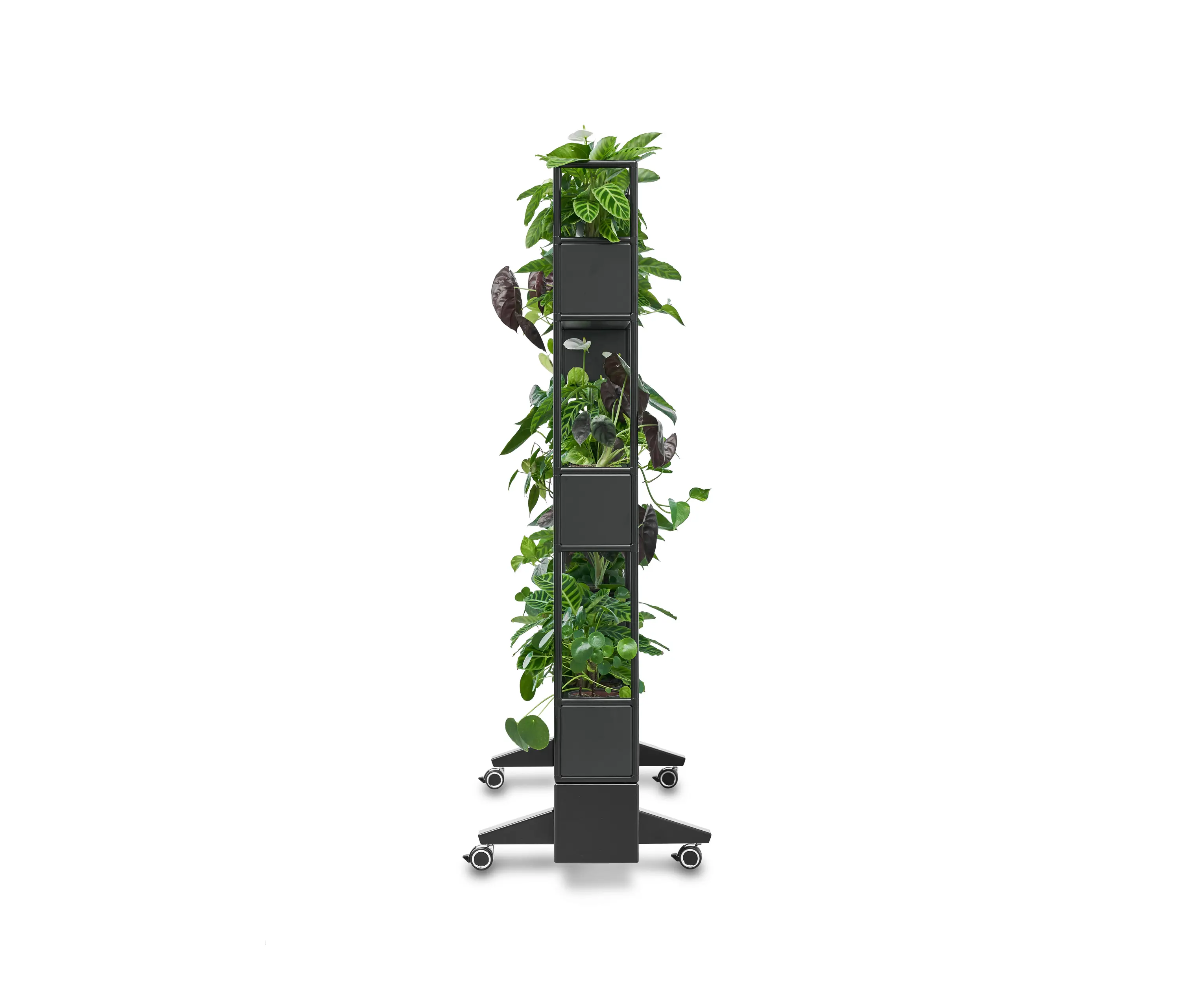 Bosse - Modul space mobile Plant