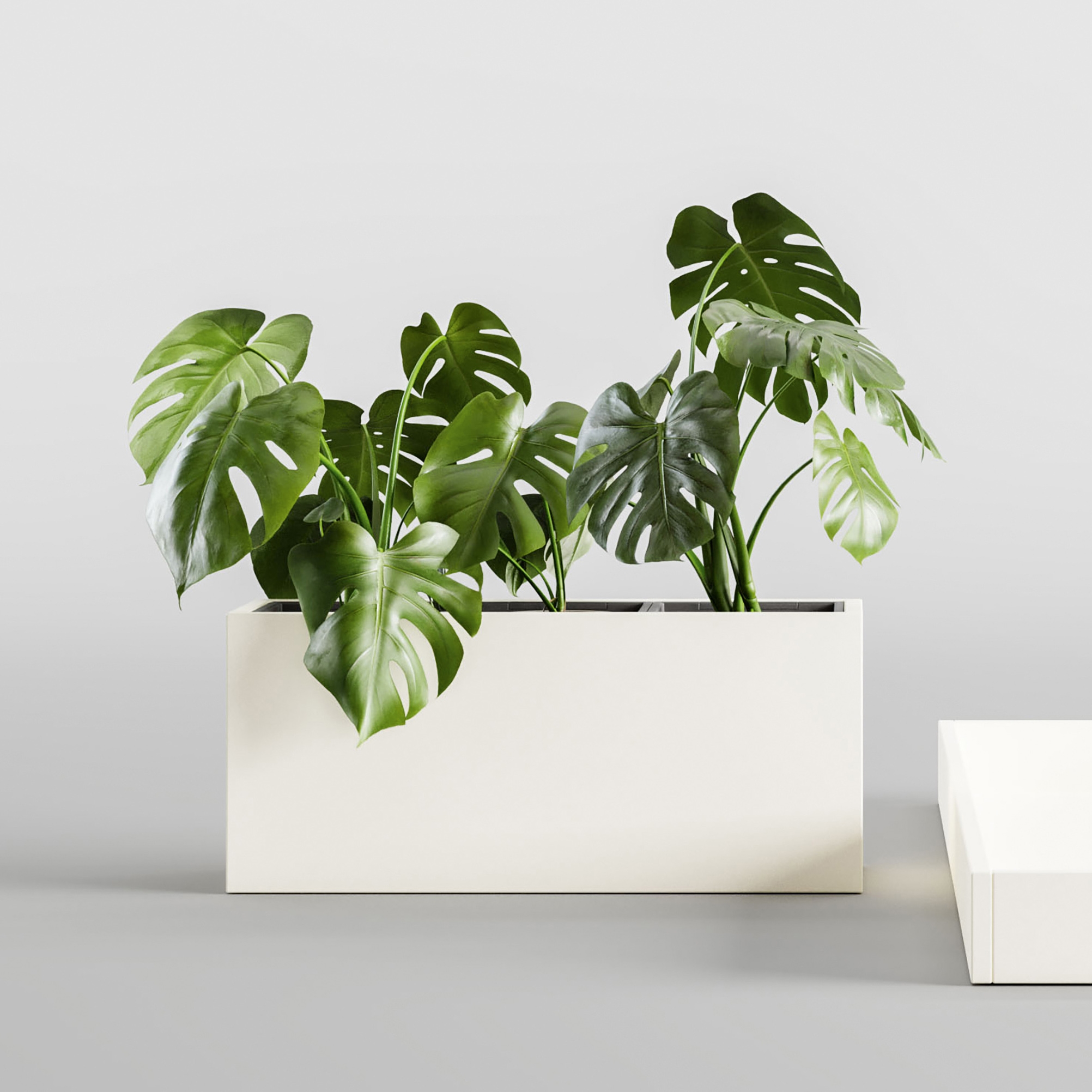 Mostrar el producto Kit del fabricante PALMBERG