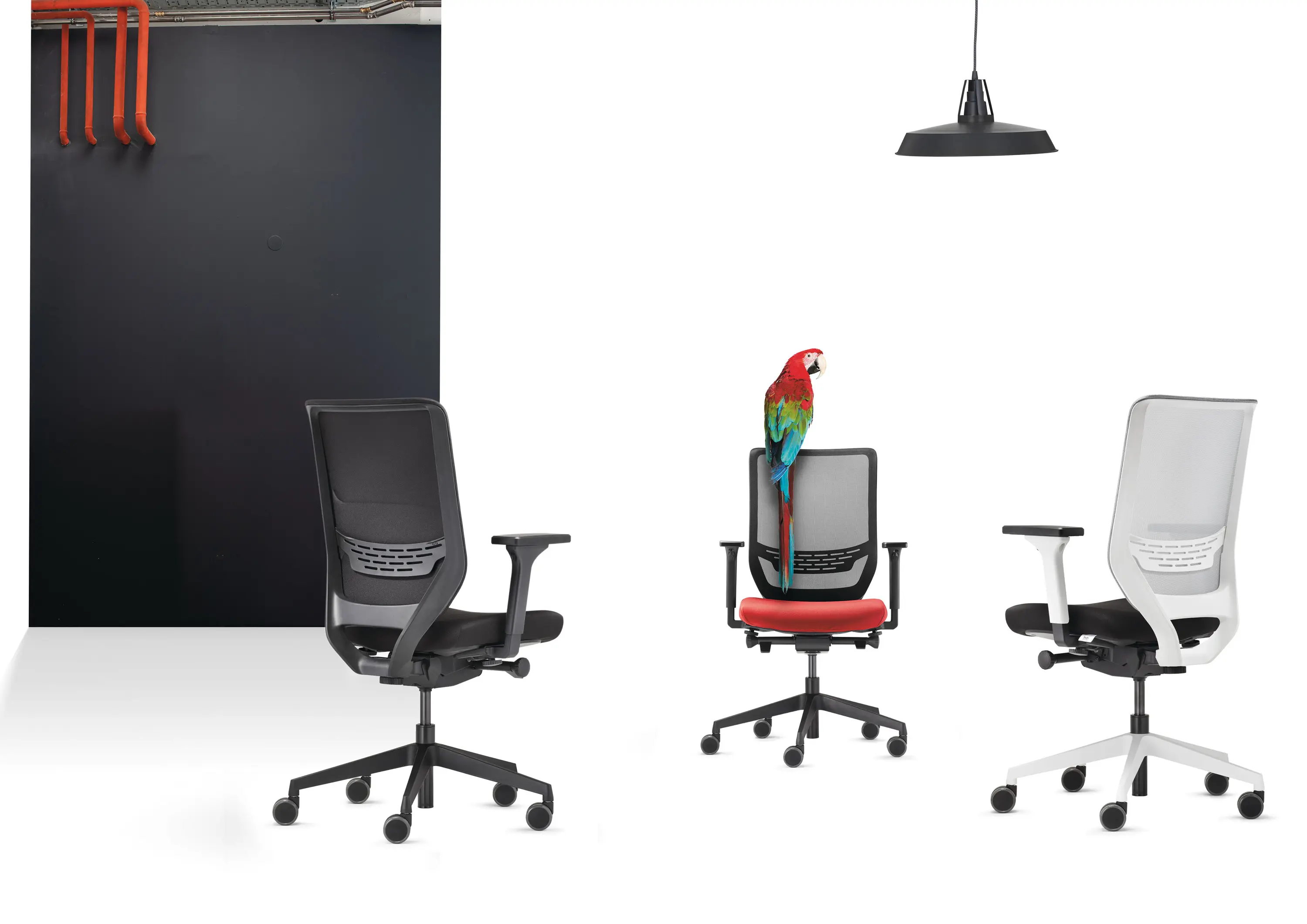 TrendOffice - to-sync comfort pro
