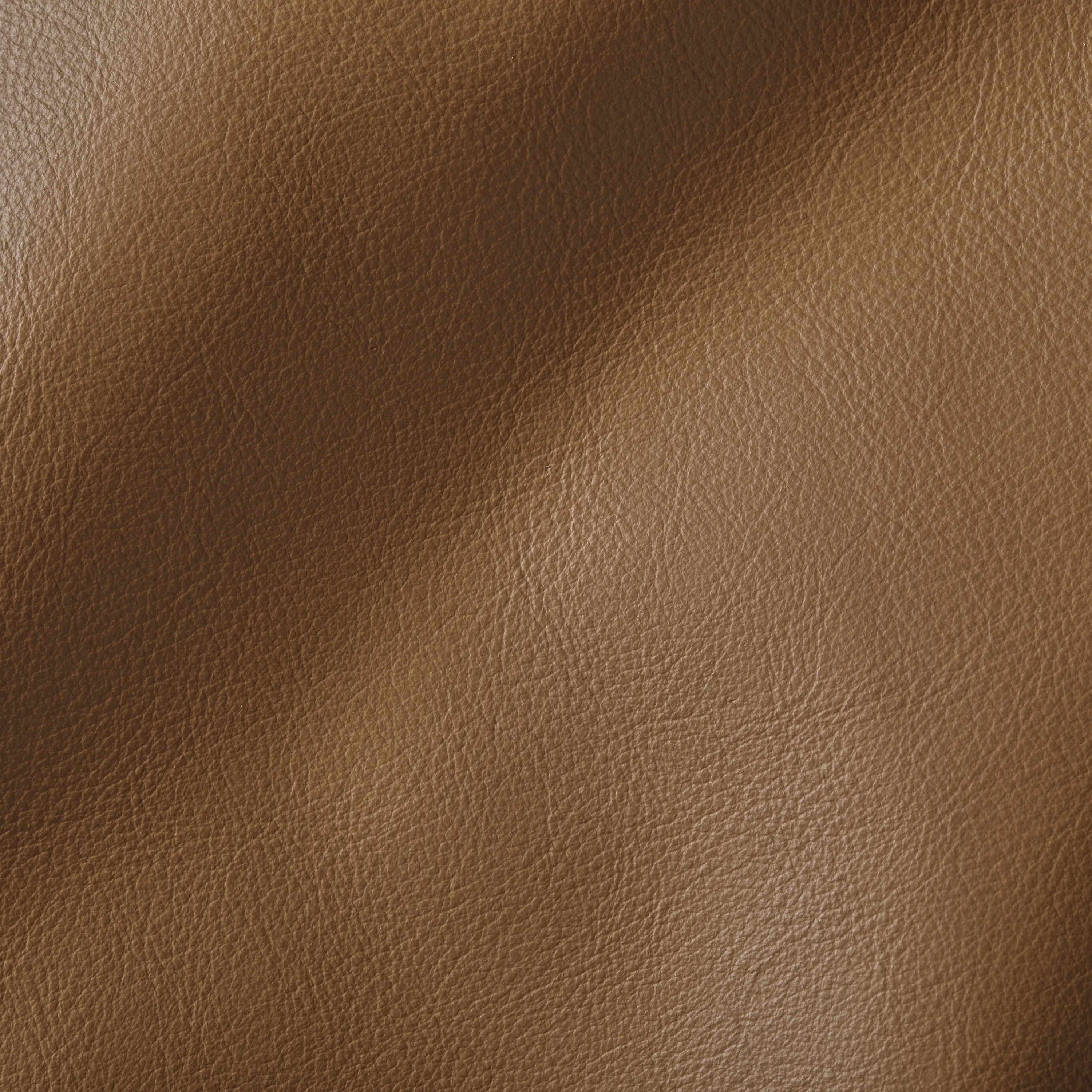 Studioart Leather Interiors - CITY Camel