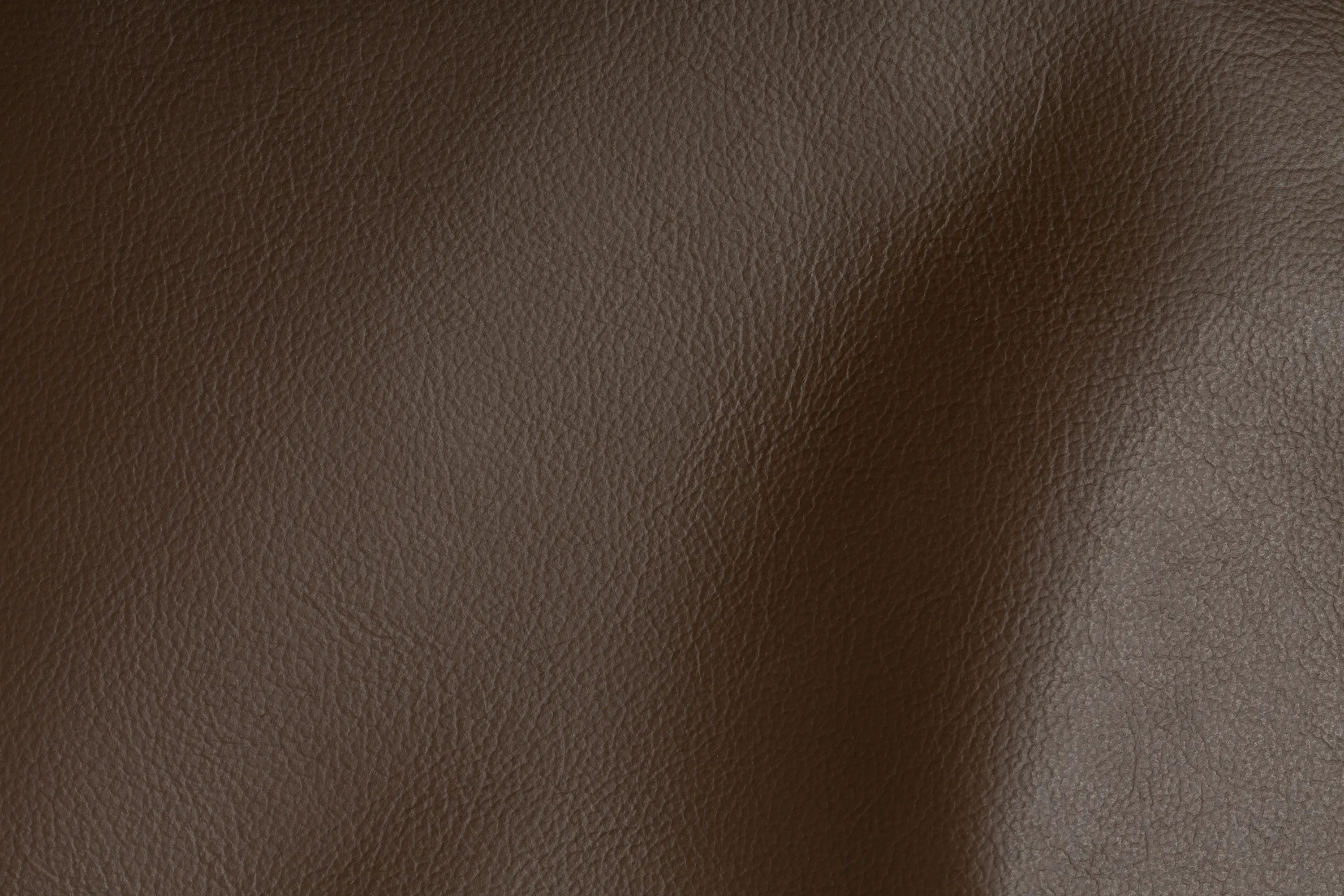 Studioart Leather Interiors - CITY Ebano