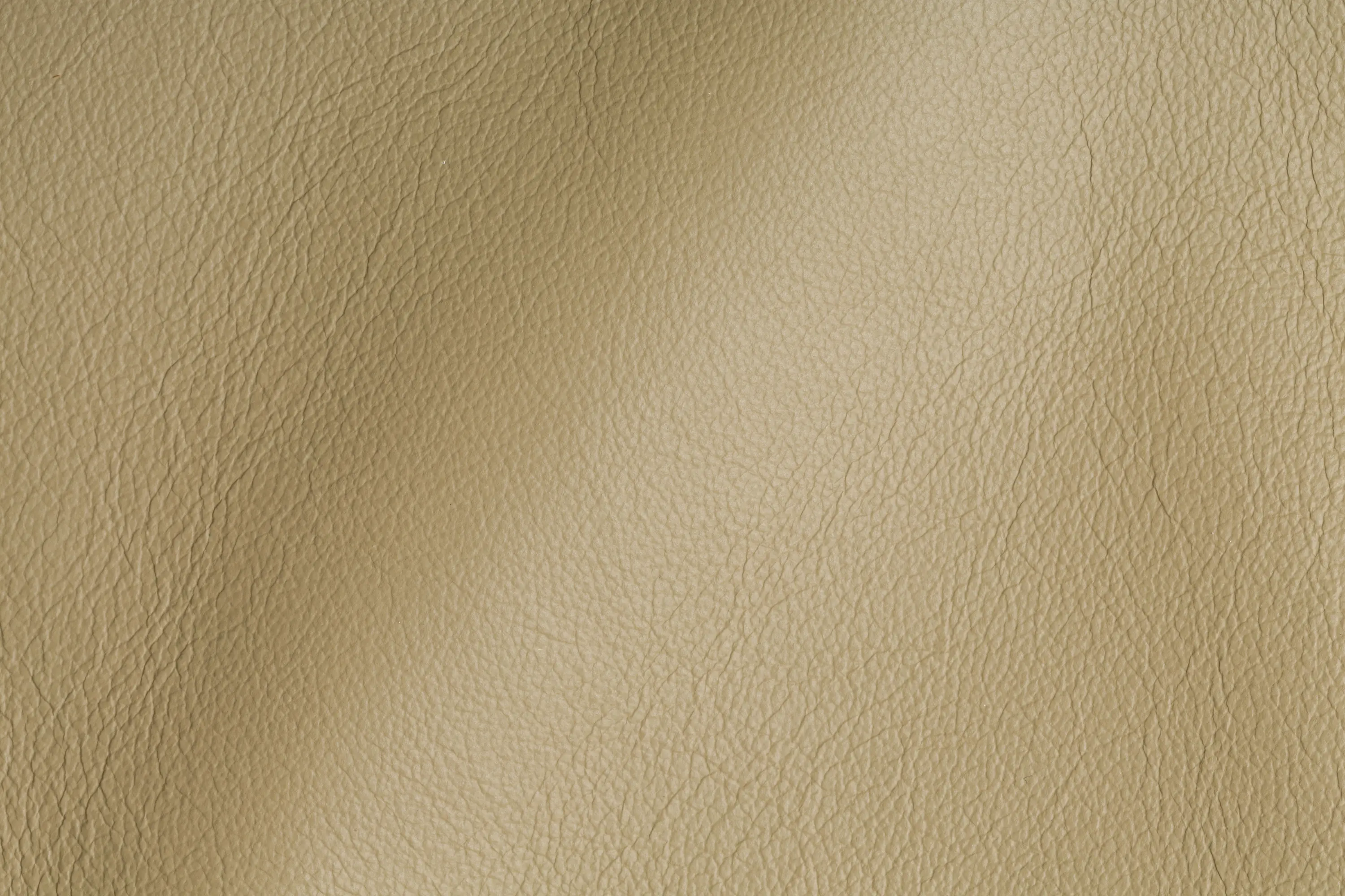 Studioart Leather Interiors - CITY Pastorius