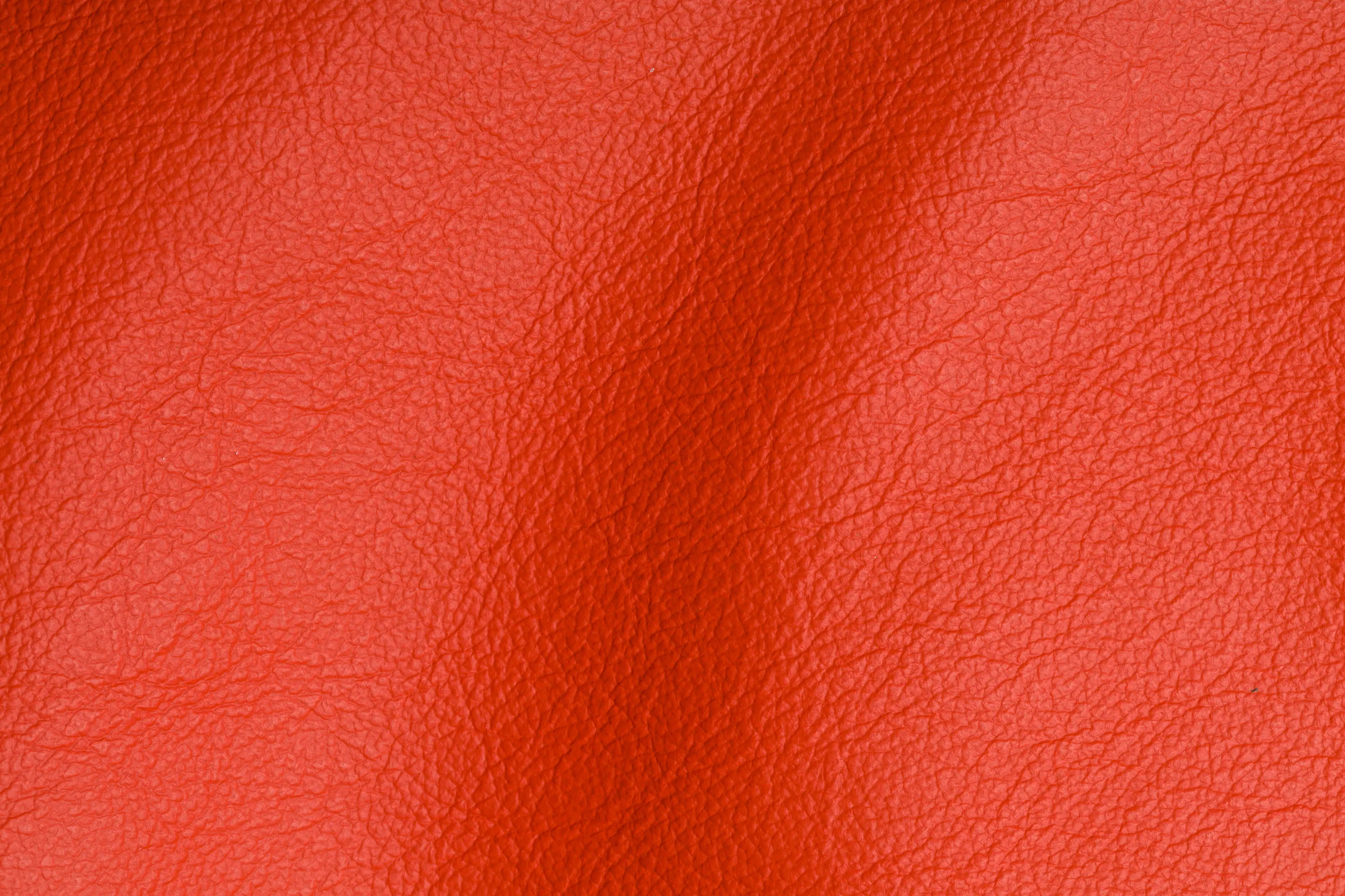 Studioart Leather Interiors - CITY Samba
