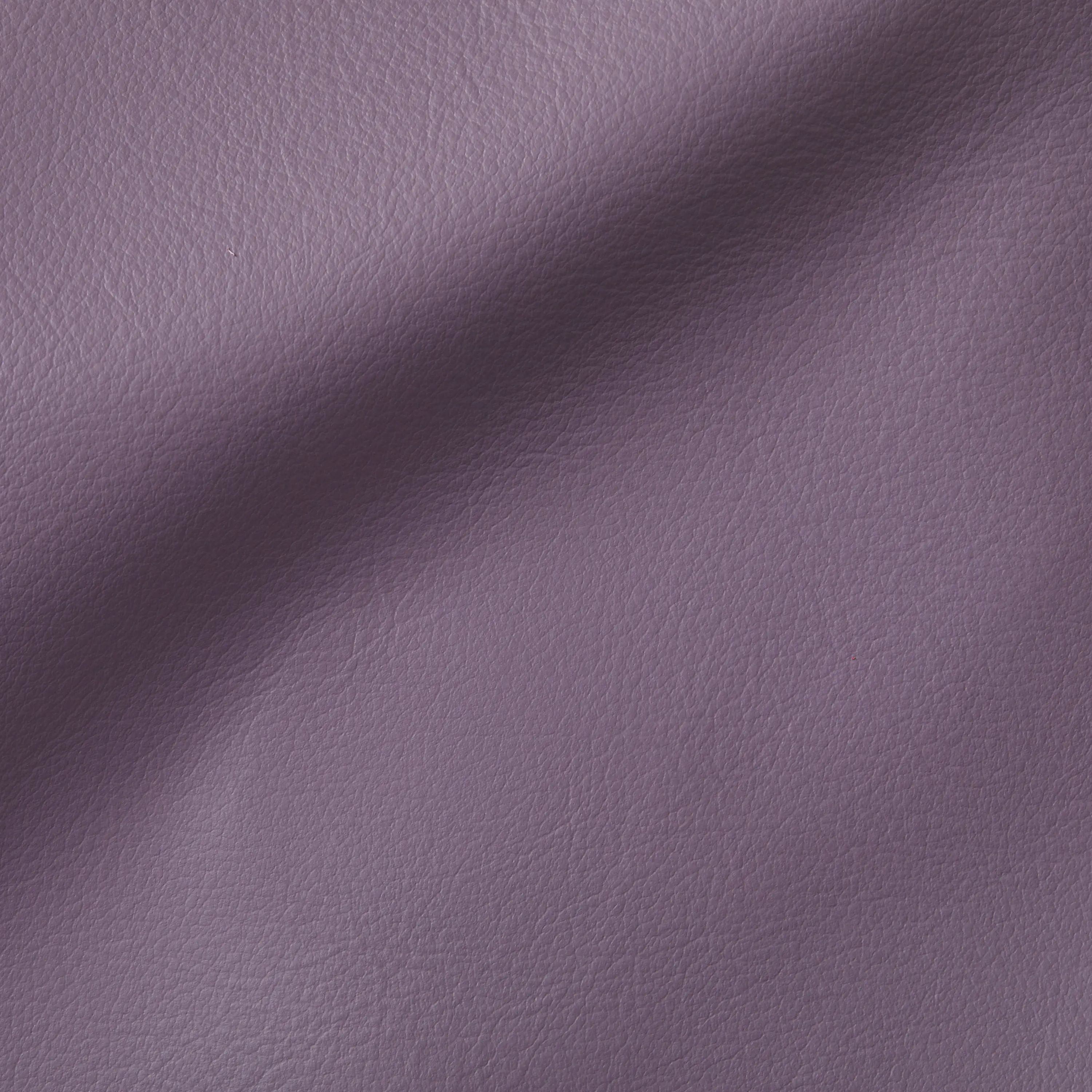 Studioart Leather Interiors - CITY Violette