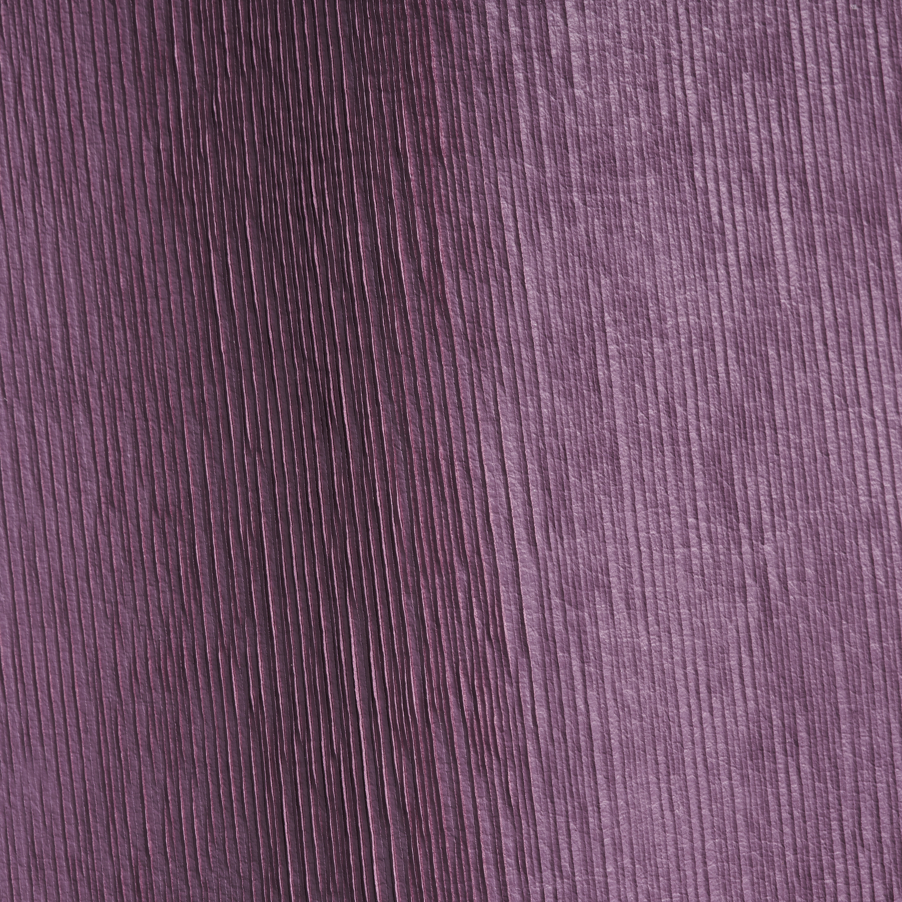 MUSHROOM Violette
