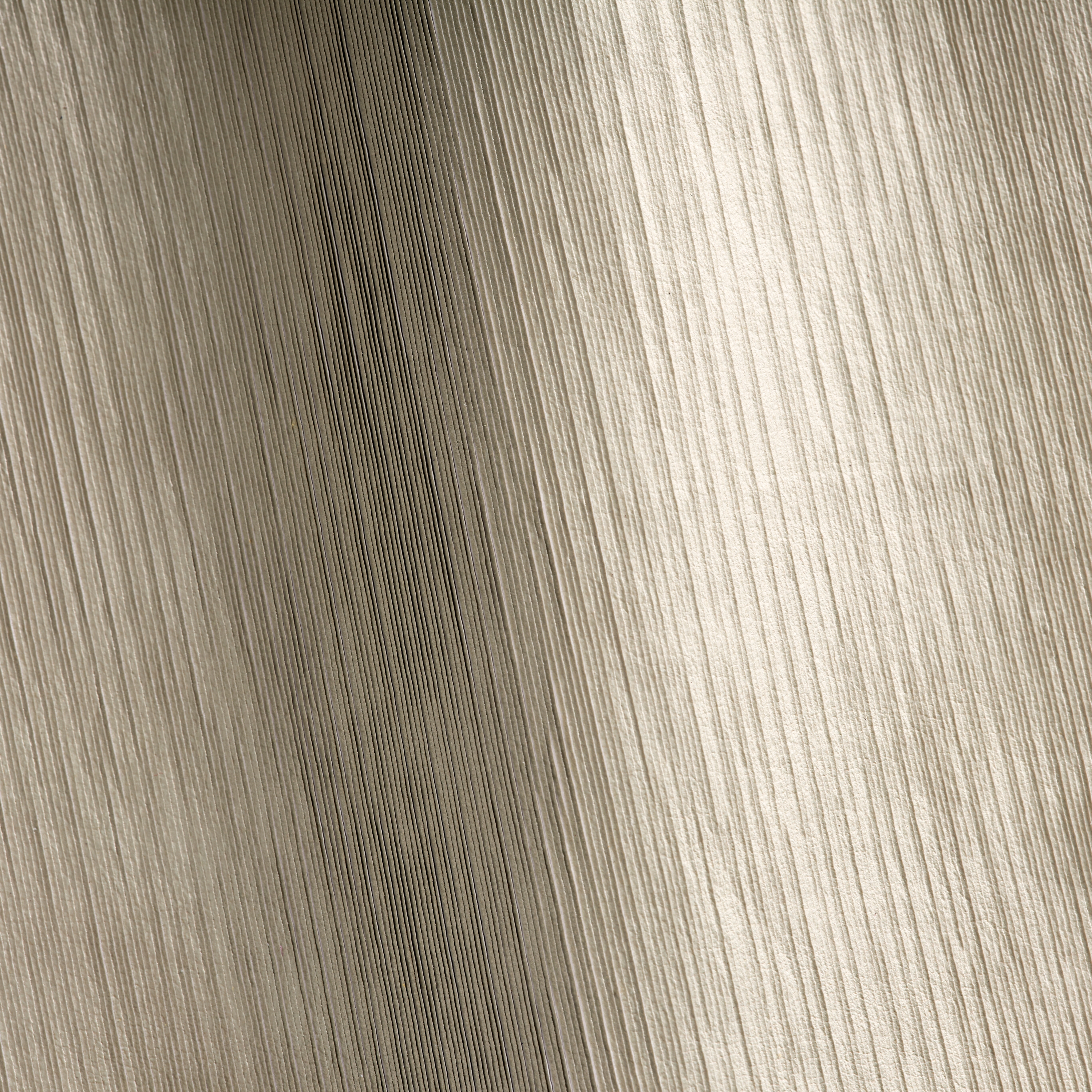 MUSHROOM PEARL Oro Bianco