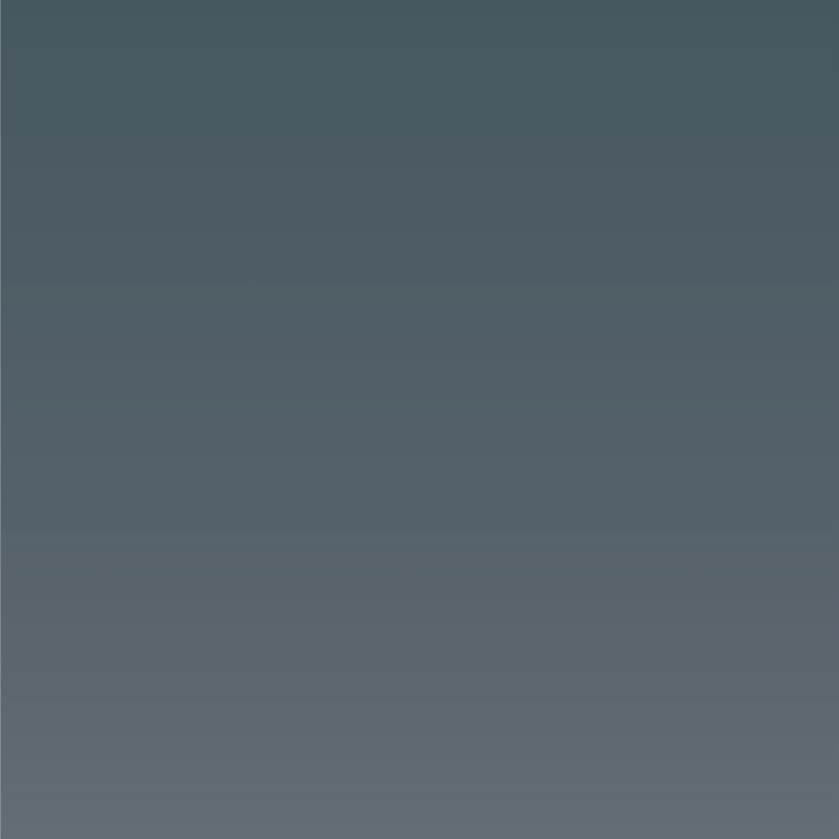 PALISADES Palette Silver Layout A
