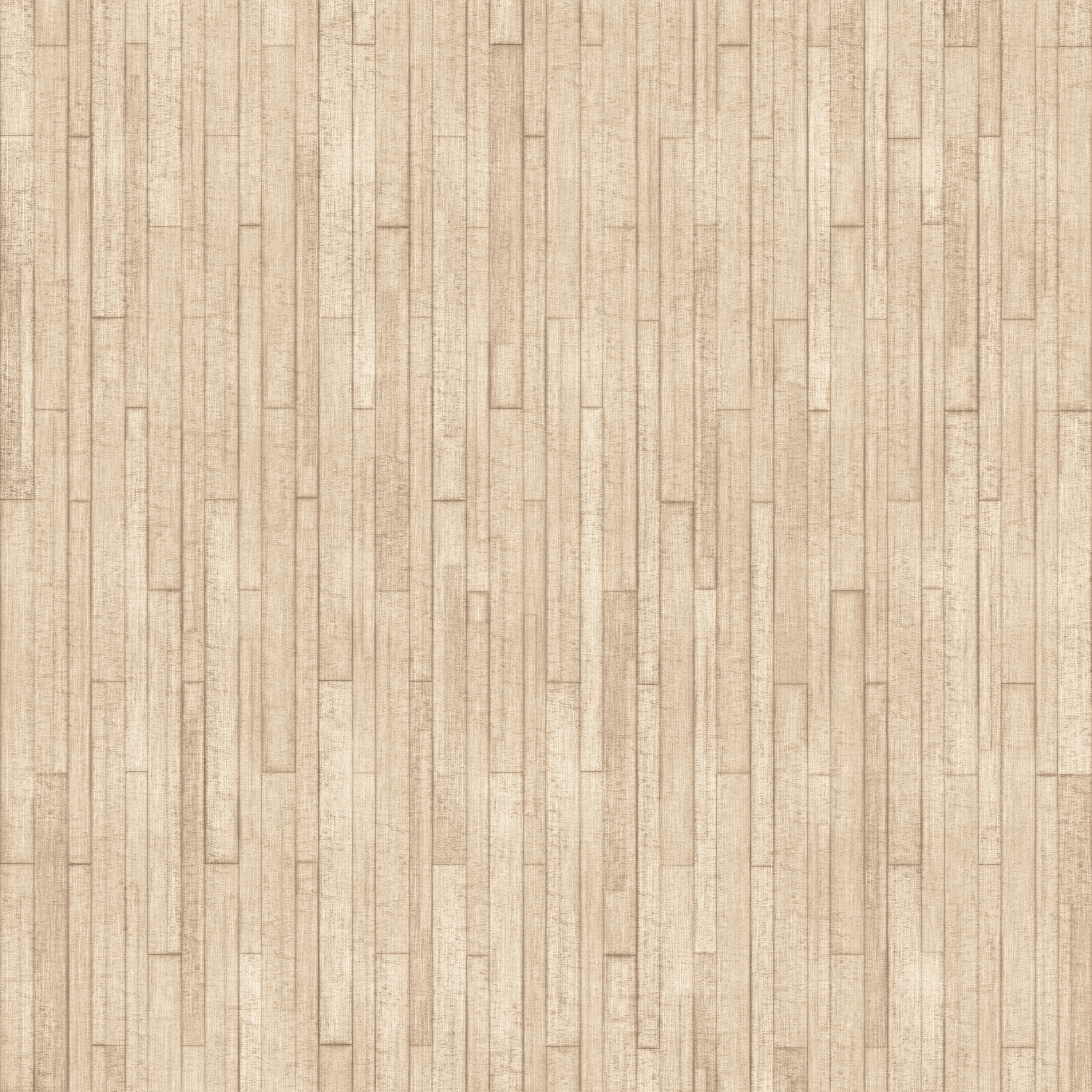 WOODS Mushroom Oyster Layout 2