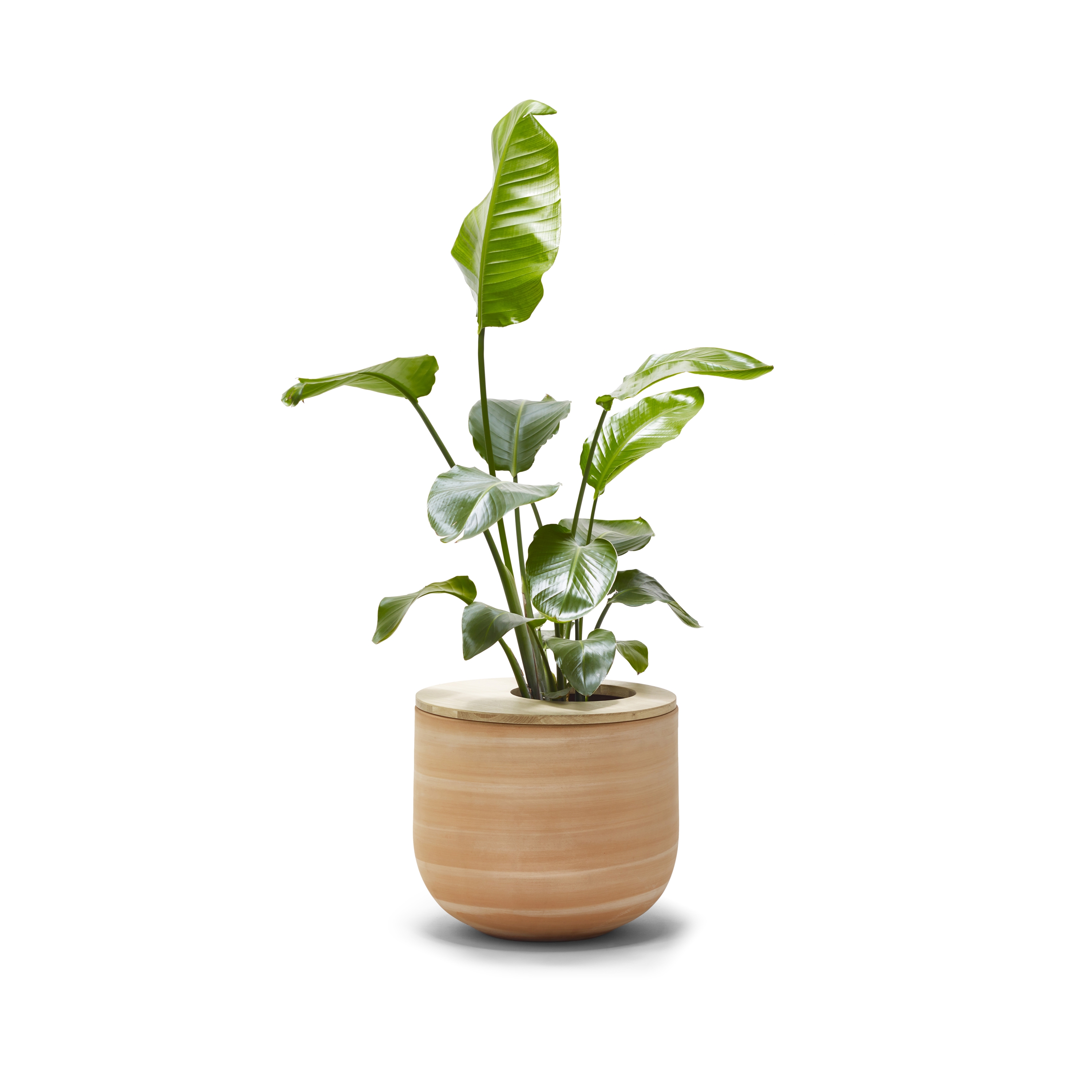 Display product Lur from manufacturer Alki