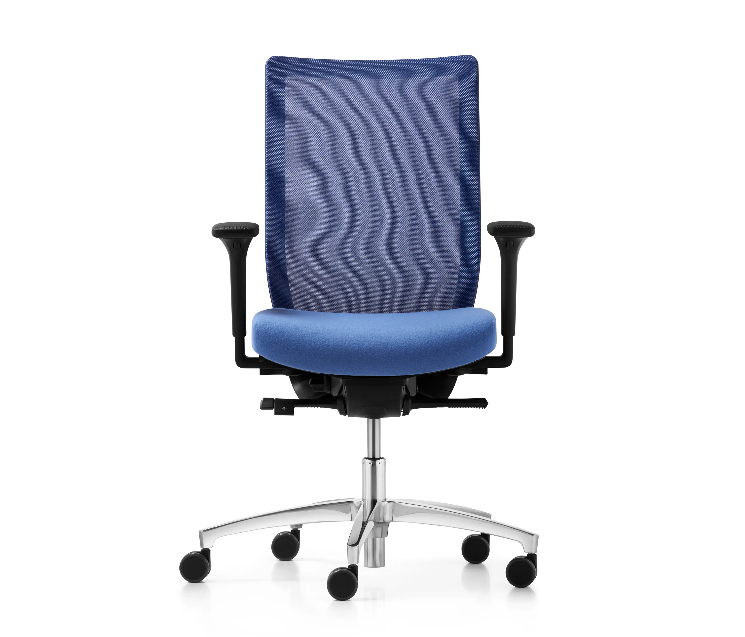 Dauphin - Stilo mesh