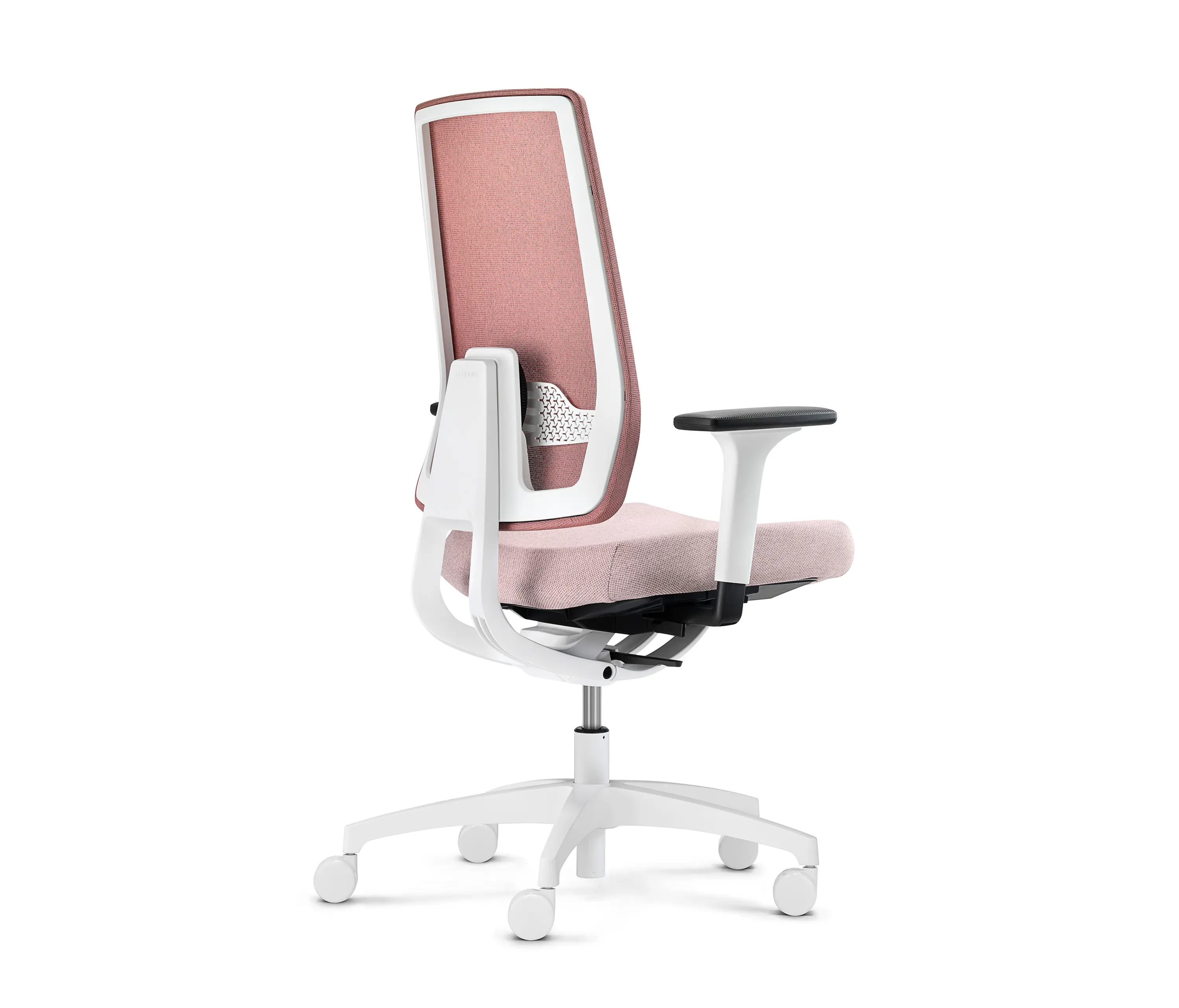 Dauphin - Indeed automatic