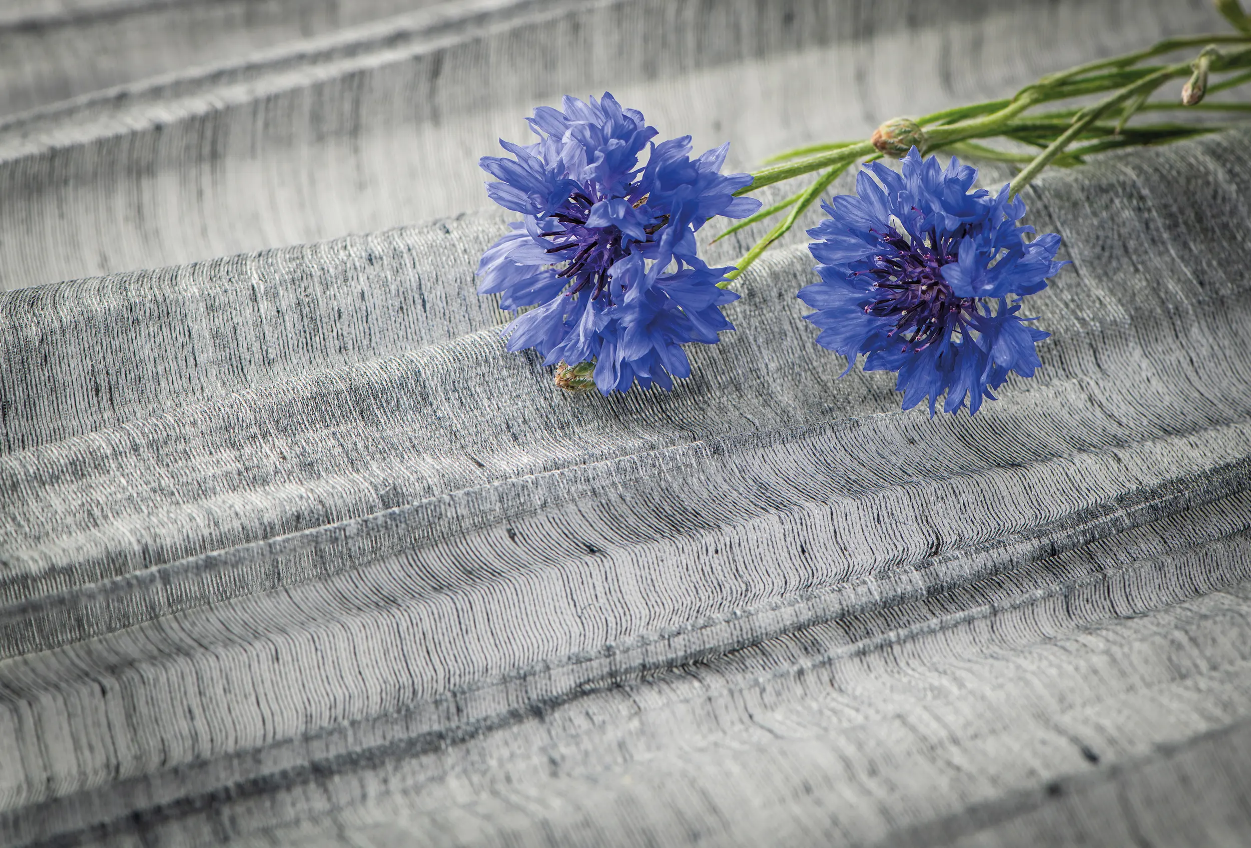 Omexco - Ode Pleats Please | ODE4804