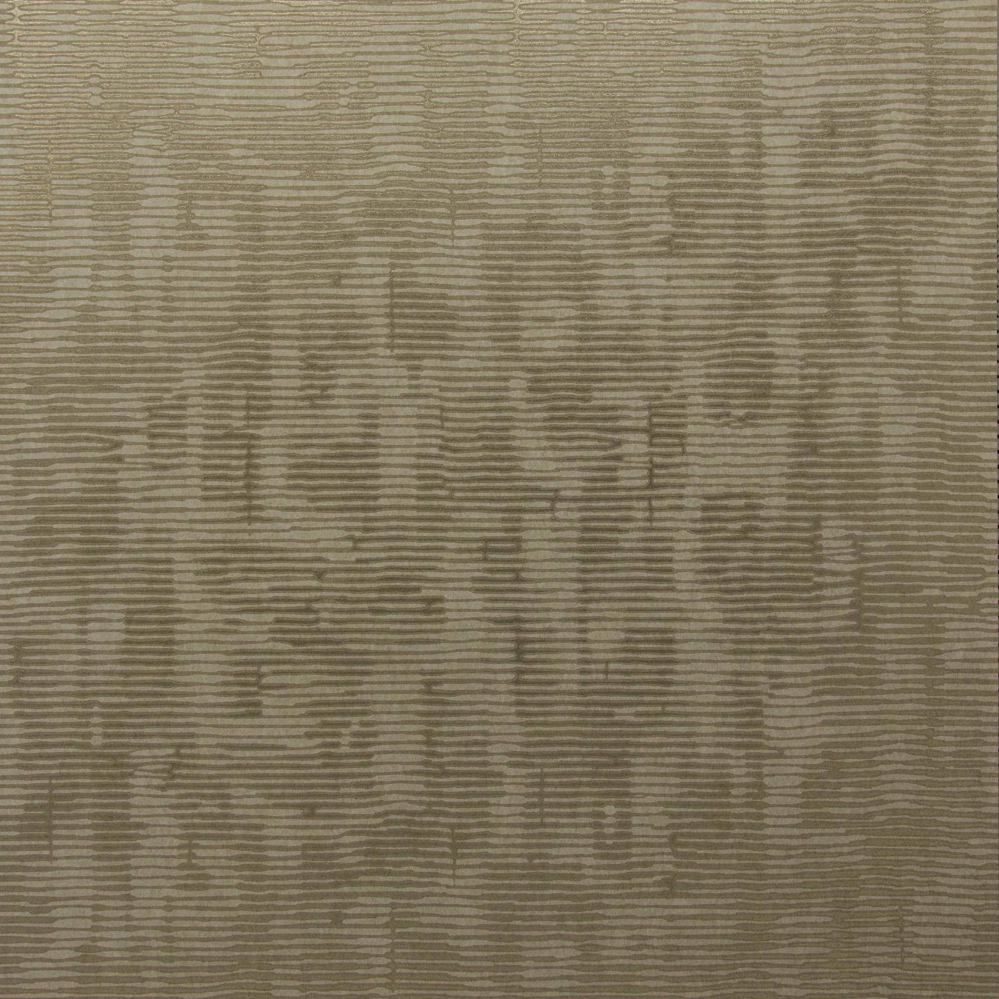 Cobra graphic CA54