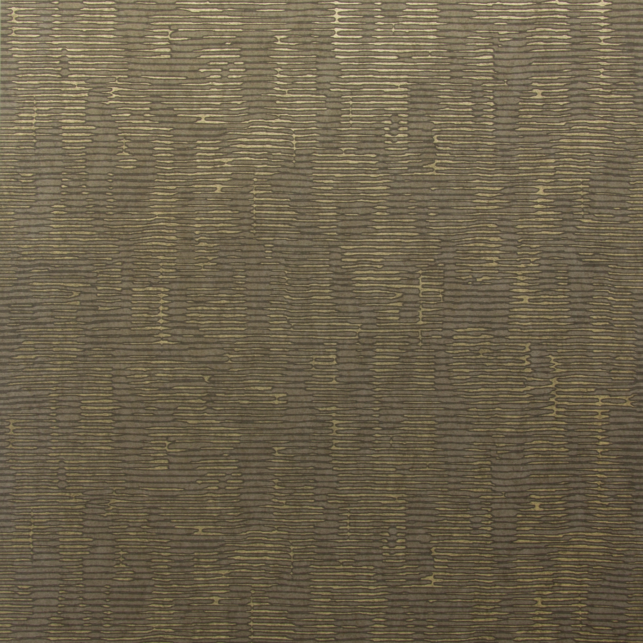 Cobra graphic CA55