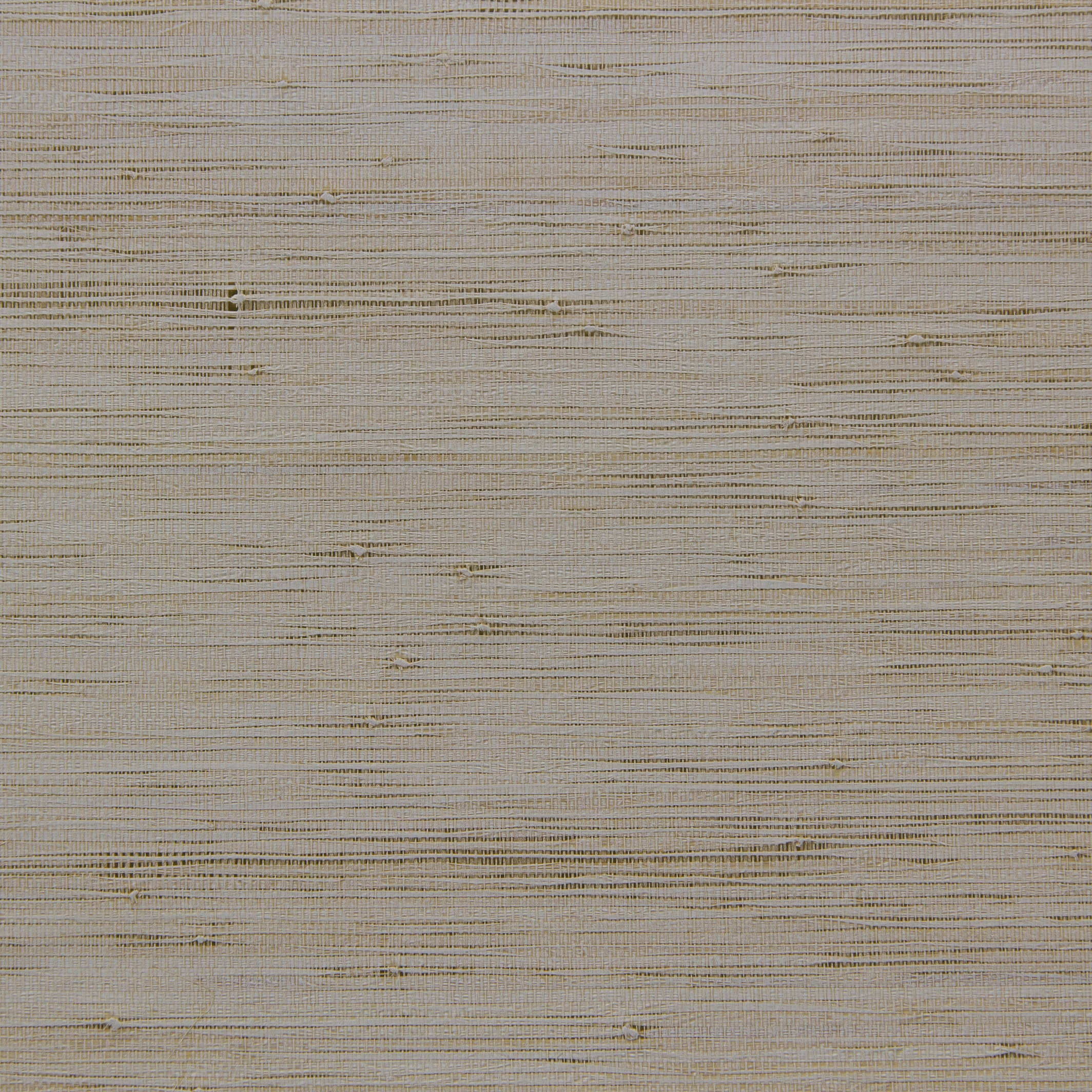 Cobra raffia CA41