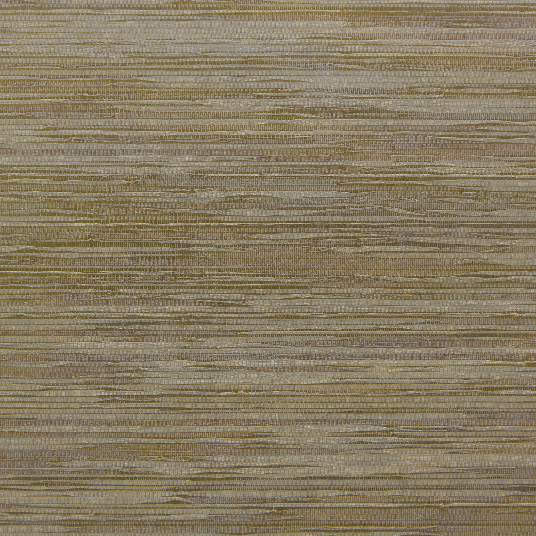 Cobra raffia CA43